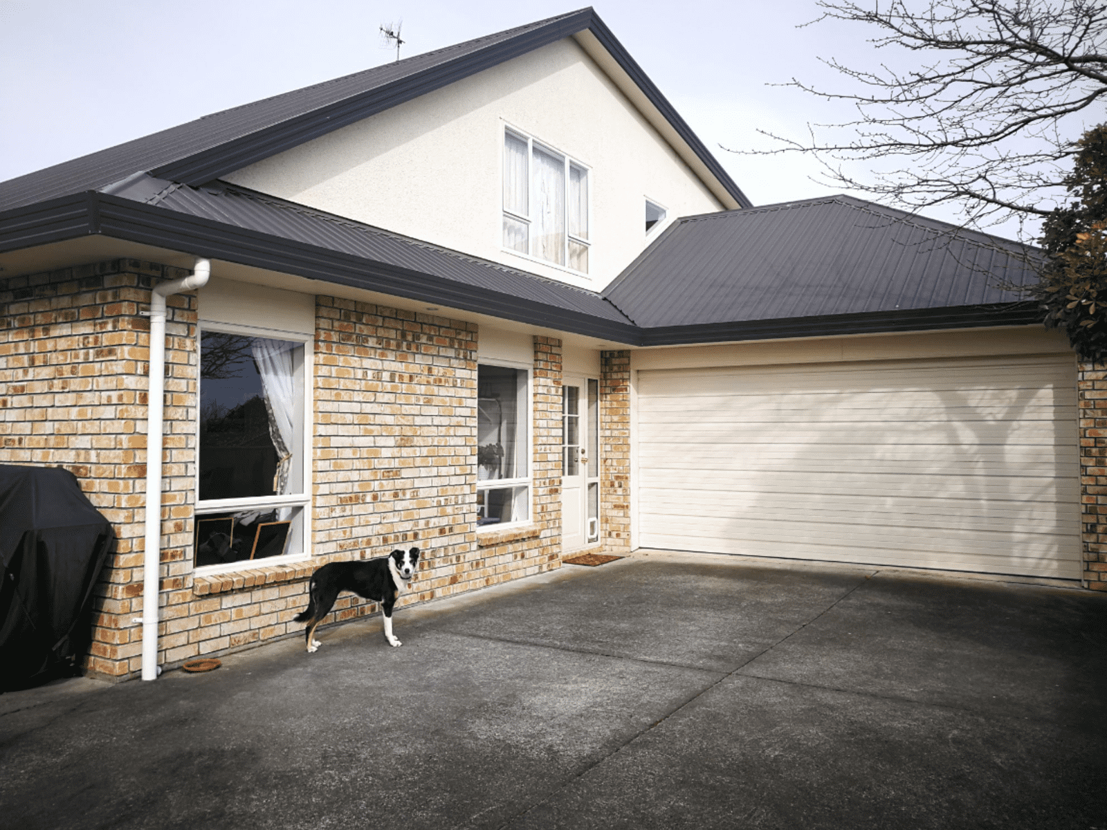Housesitting assignment in Palmerston North, New Zealand
