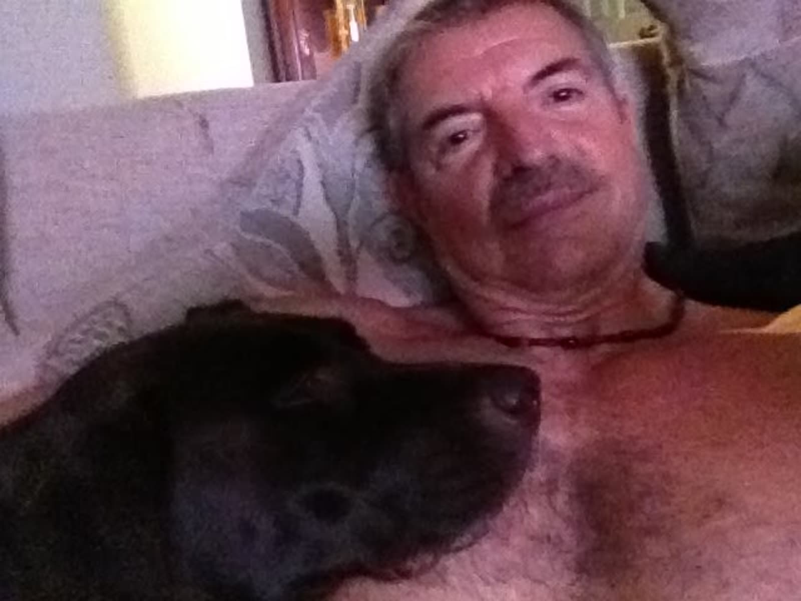 Bruce from St. Louis, Missouri, United States