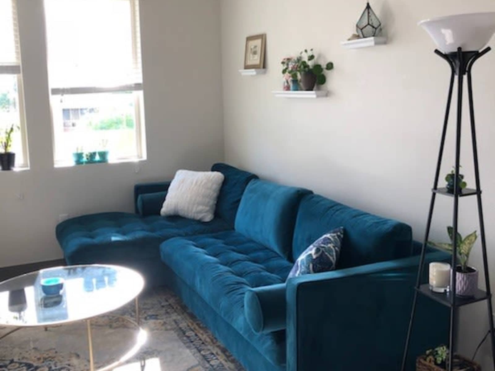 Housesitting assignment in Phoenix, Arizona, United States