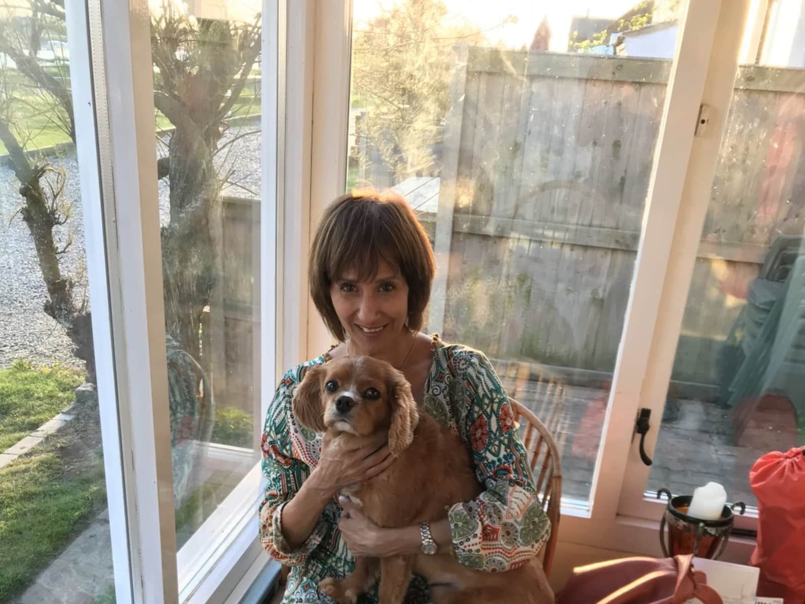 Housesitting assignment in Lowestoft, United Kingdom