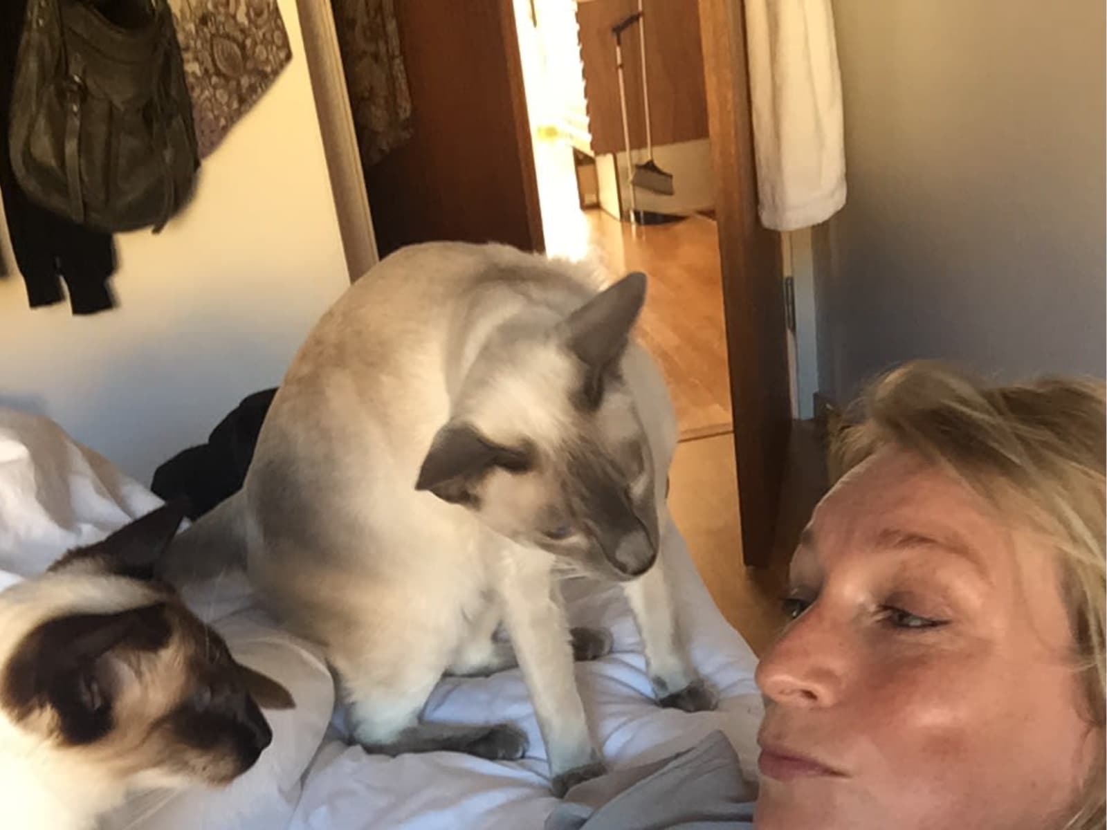 Maria from Stockholm, Sweden