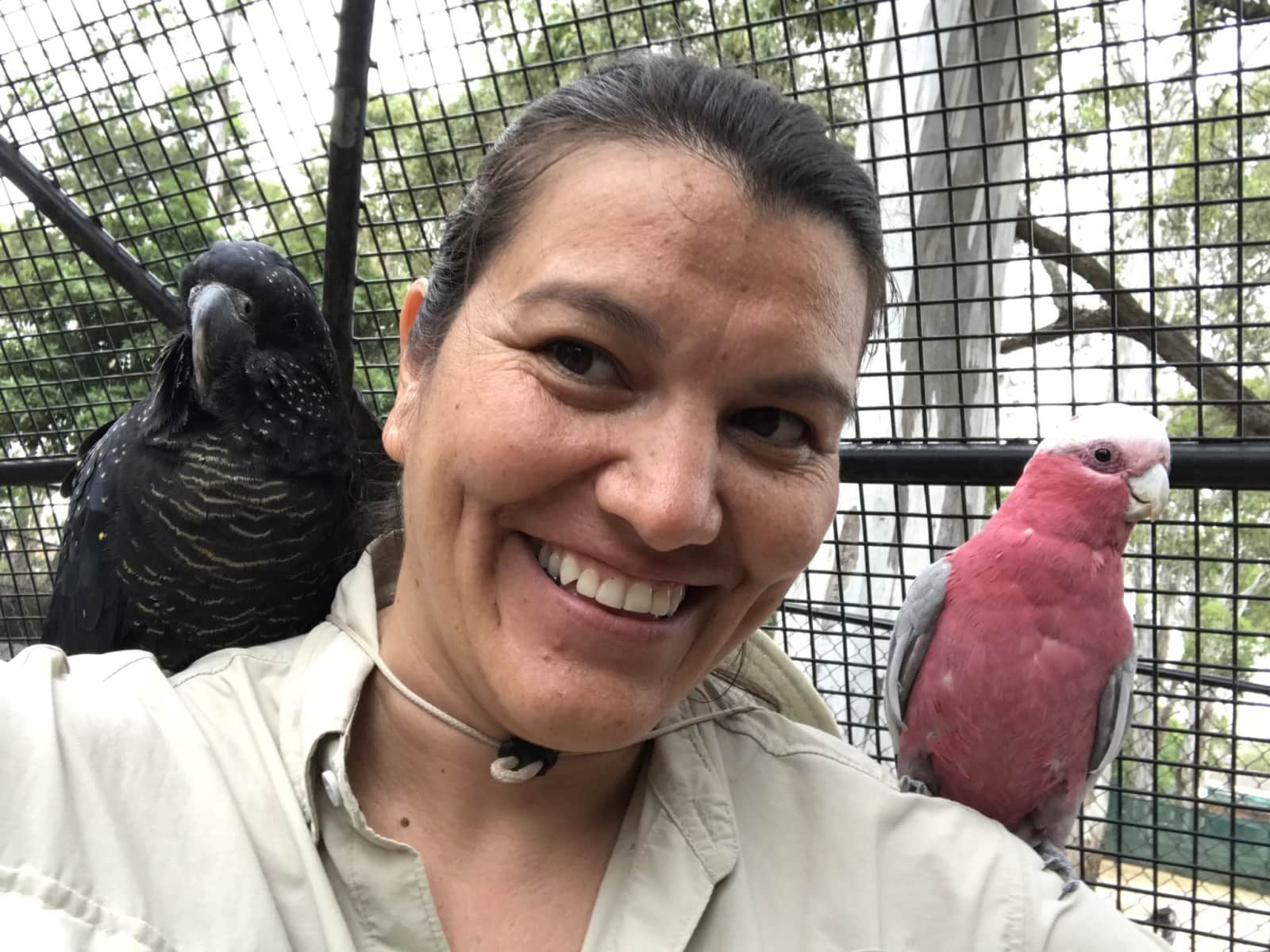 Pam from Macquarie Park, New South Wales, Australia