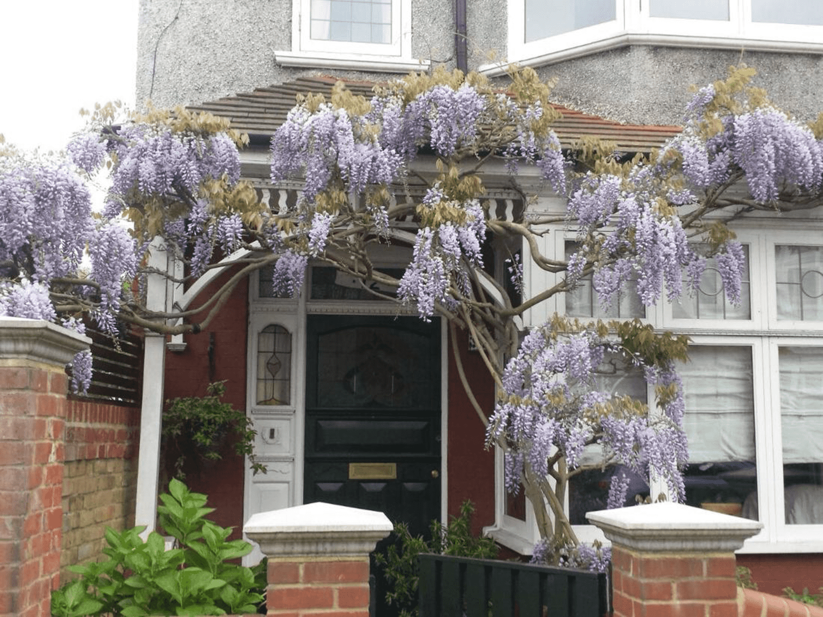 Housesitting assignment in London, United Kingdom