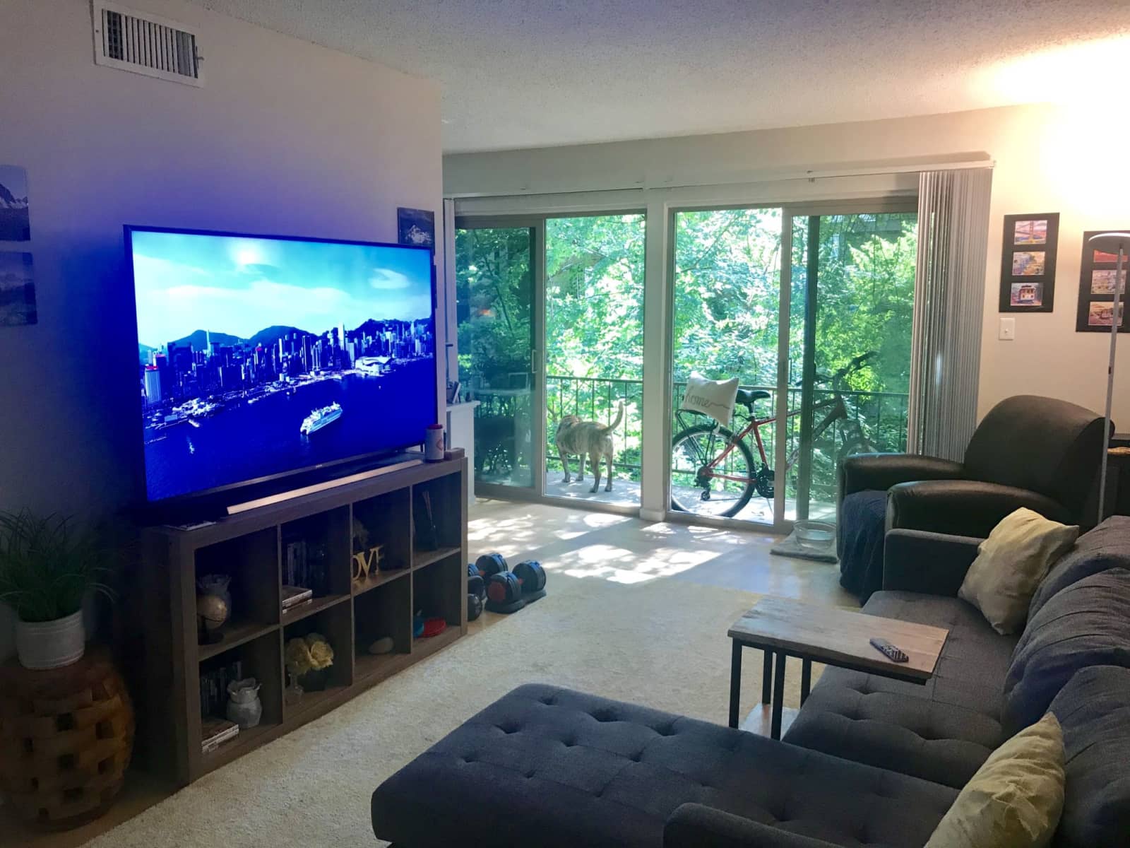 Housesitting assignment in Austin, Texas, United States