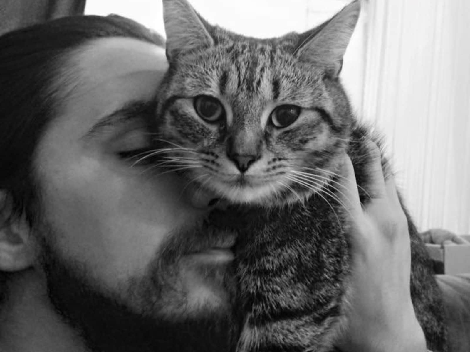 Housesitting assignment in Hove, United Kingdom