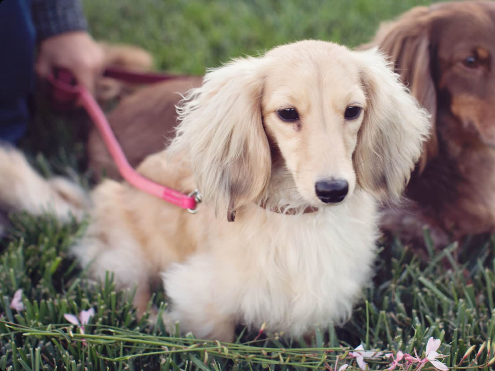 Katey from San Diego, California, United States