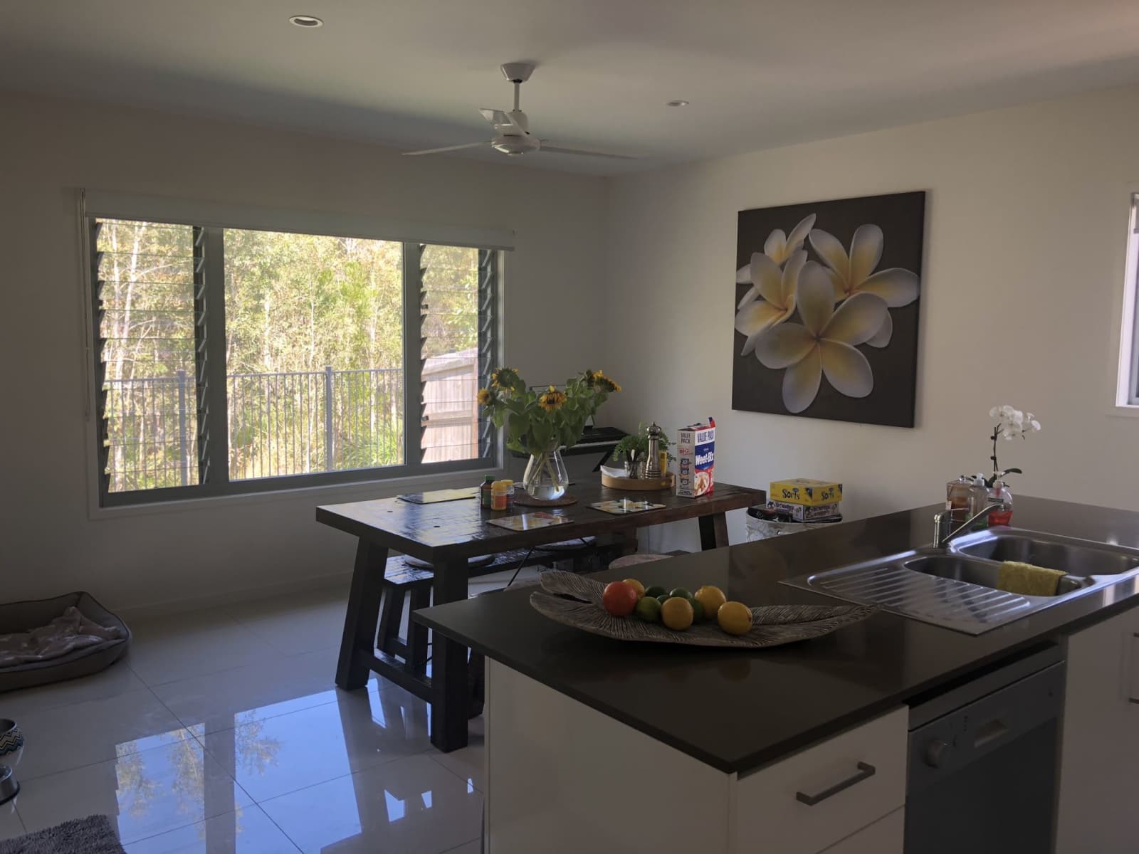 Housesitting assignment in Peregian Springs, Queensland, Australia