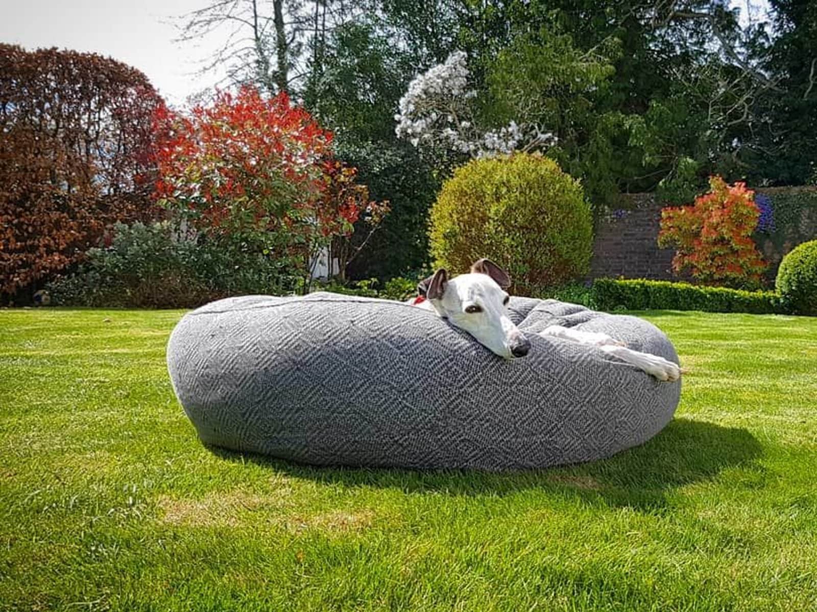 Housesitting assignment in Lindfield, United Kingdom