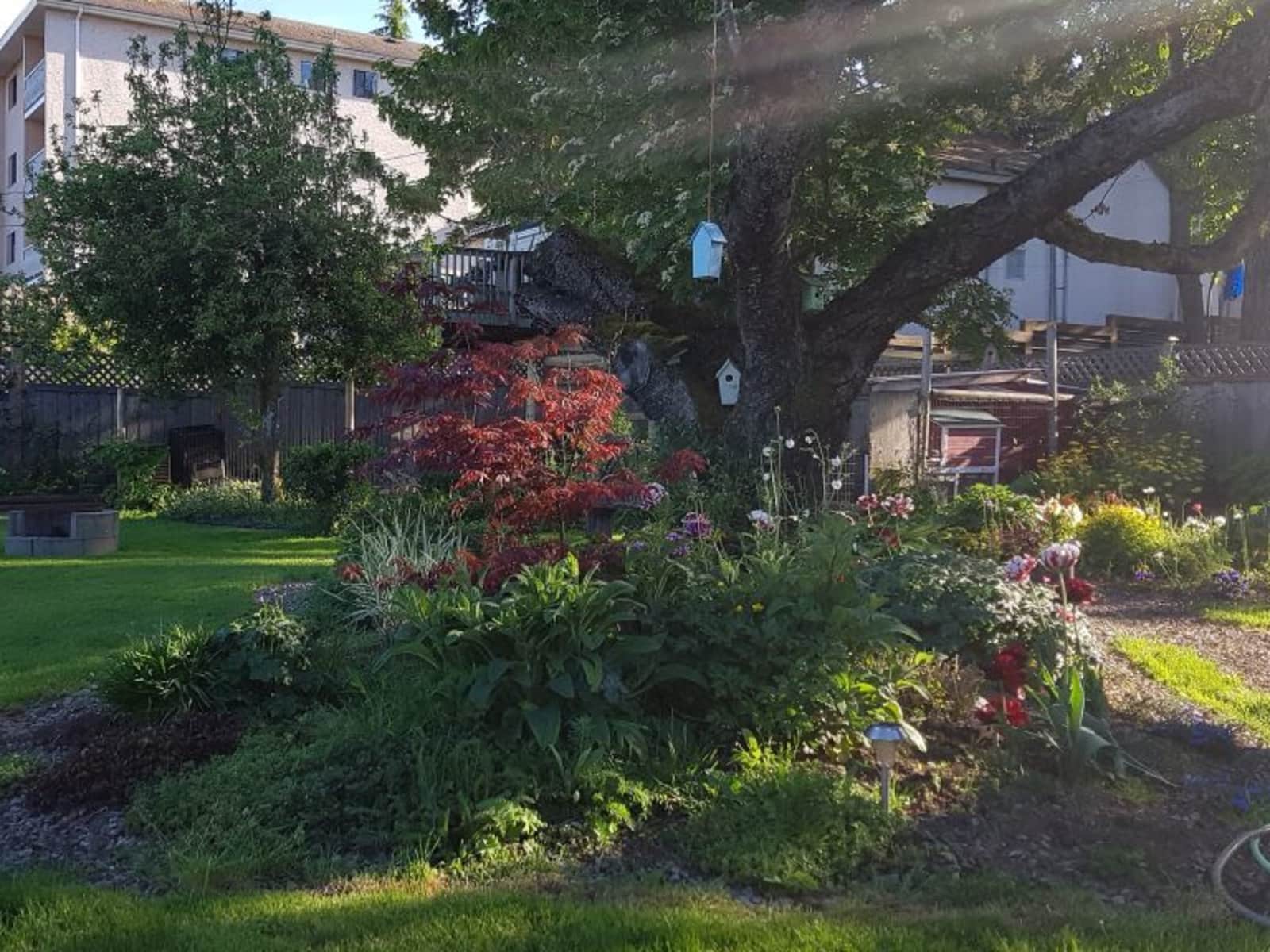 Housesitting assignment in Nanaimo, British Columbia, Canada