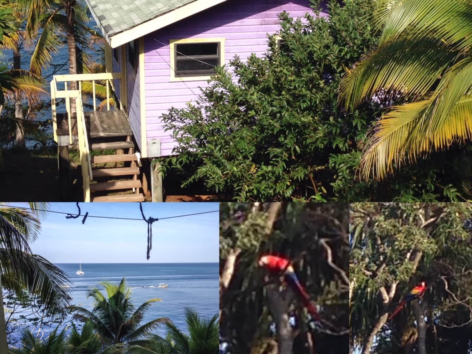 Housesitting assignment in Roatan, Honduras