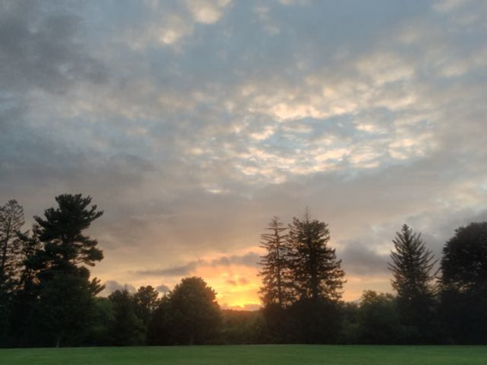 Housesitting assignment in Natick, Massachusetts, United States