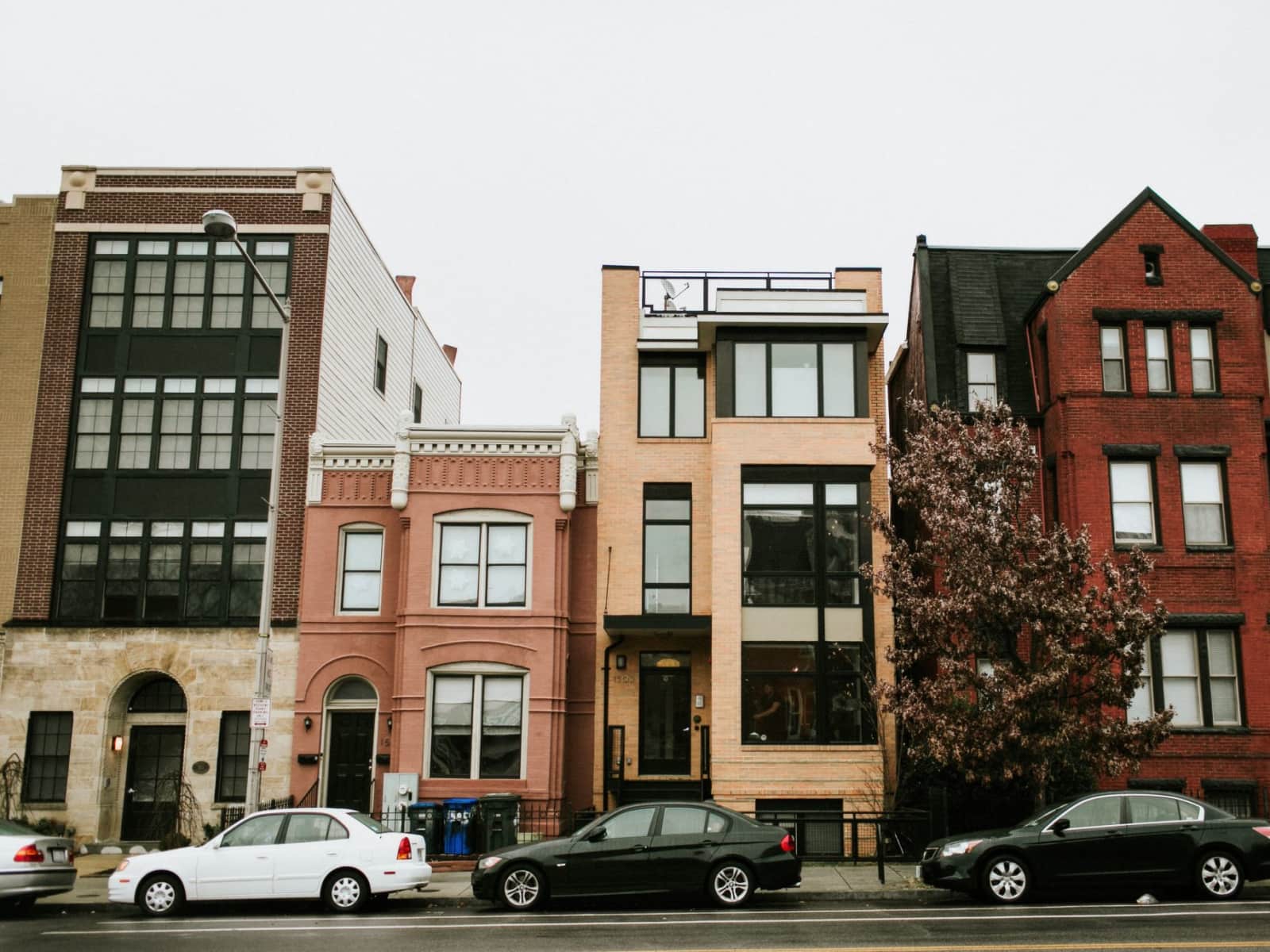 Housesitting assignment in Washington, D.C., Washington, D.C., United States