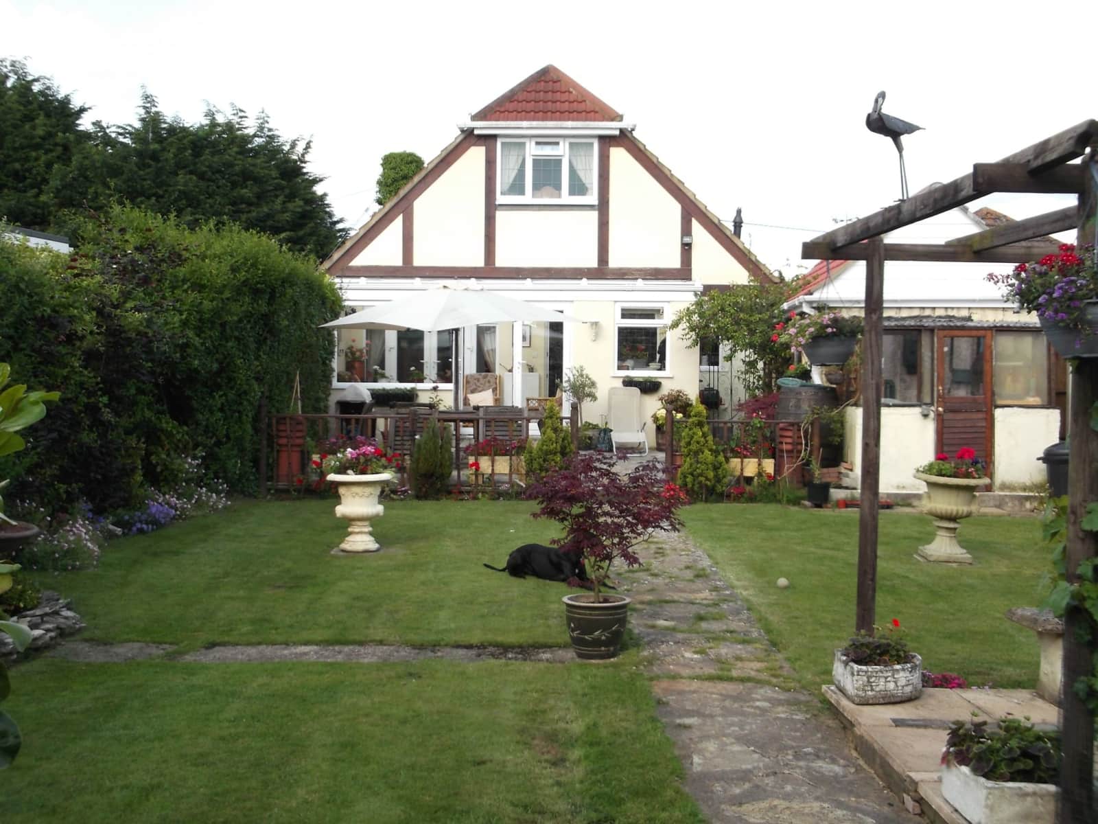 Housesitting assignment in Wimborne Minster, United Kingdom