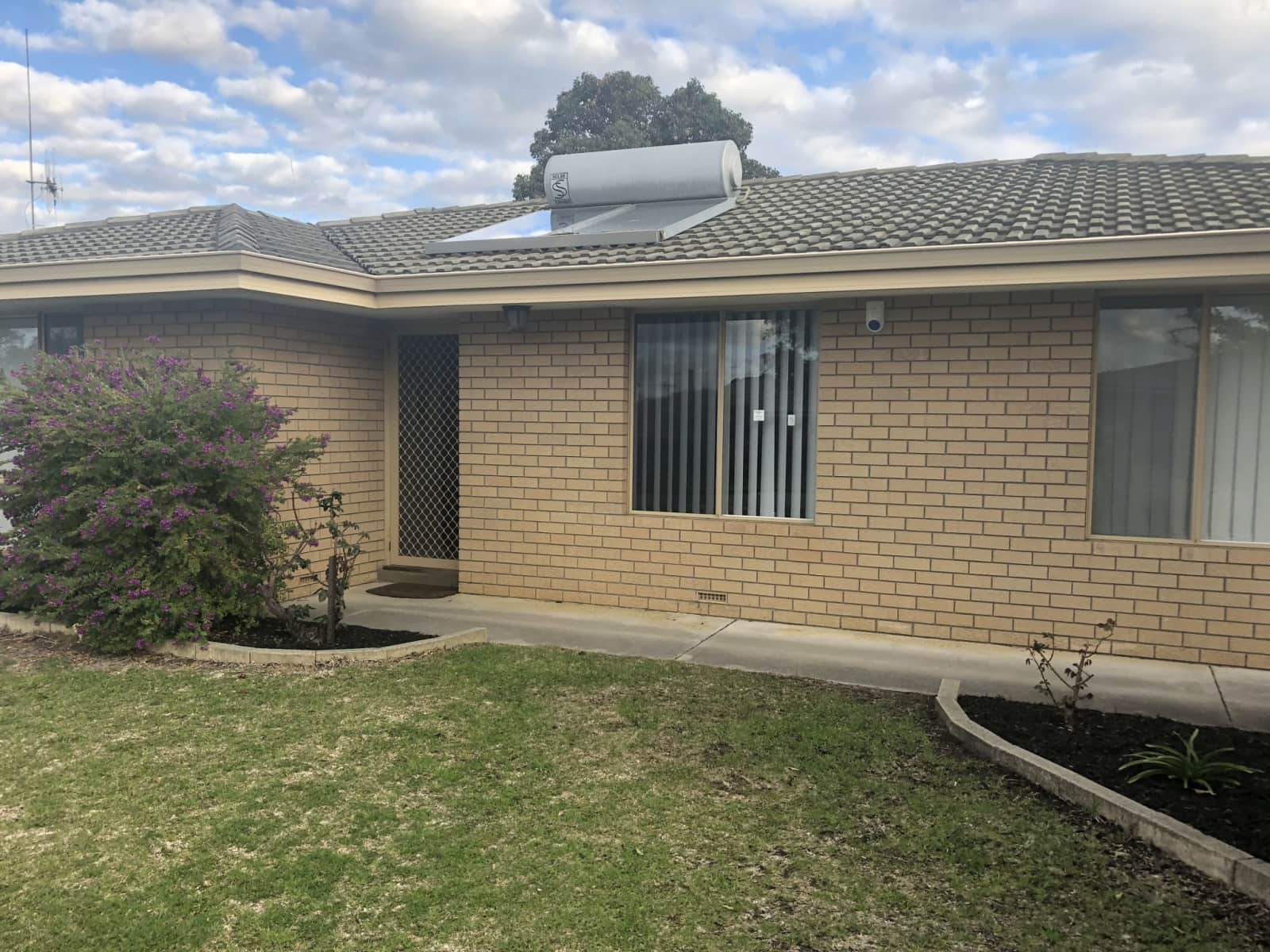 Housesitting assignment in Albany, Western Australia, Australia