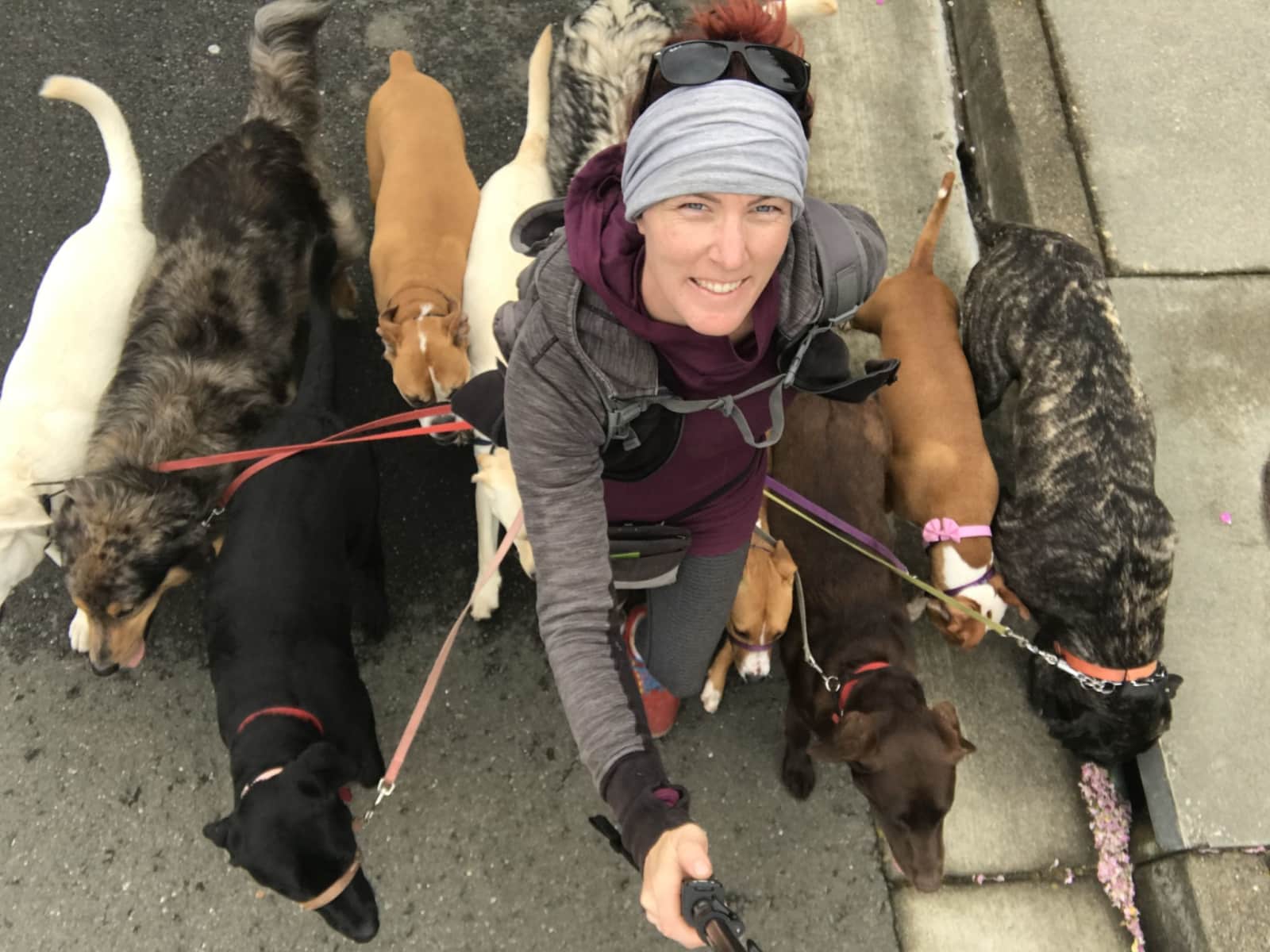 Debbie & Grey from Santa Rosa, California, United States