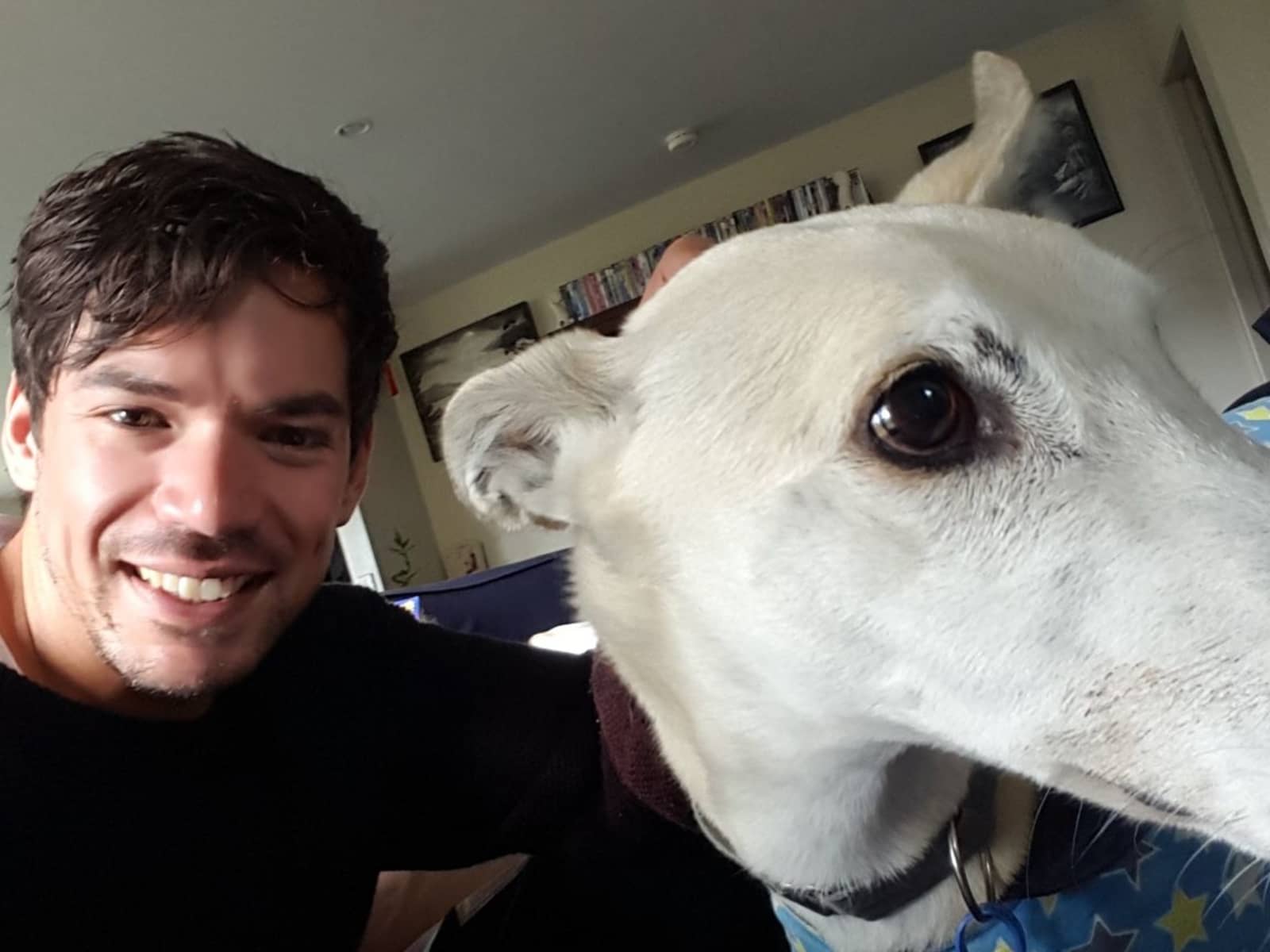 Vincent from Wellington, New Zealand