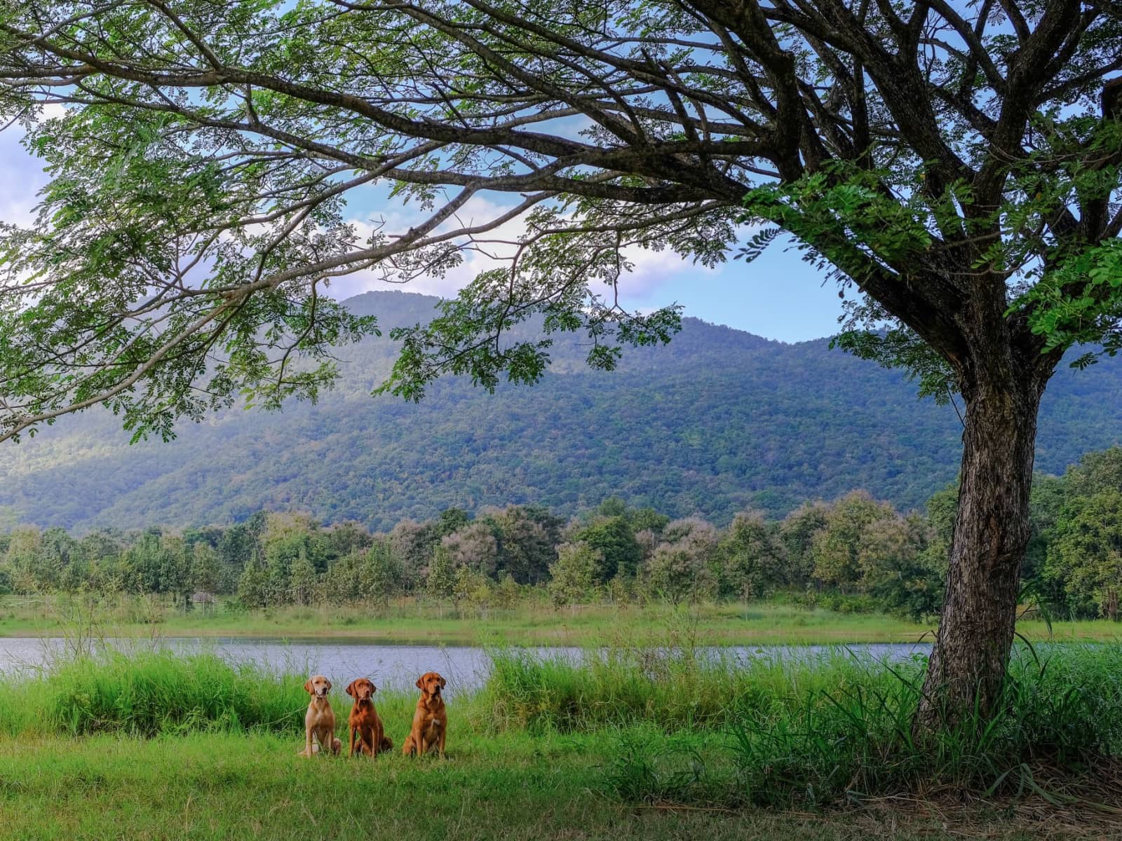 Philipp & Manuel from Chiang Mai, Thailand