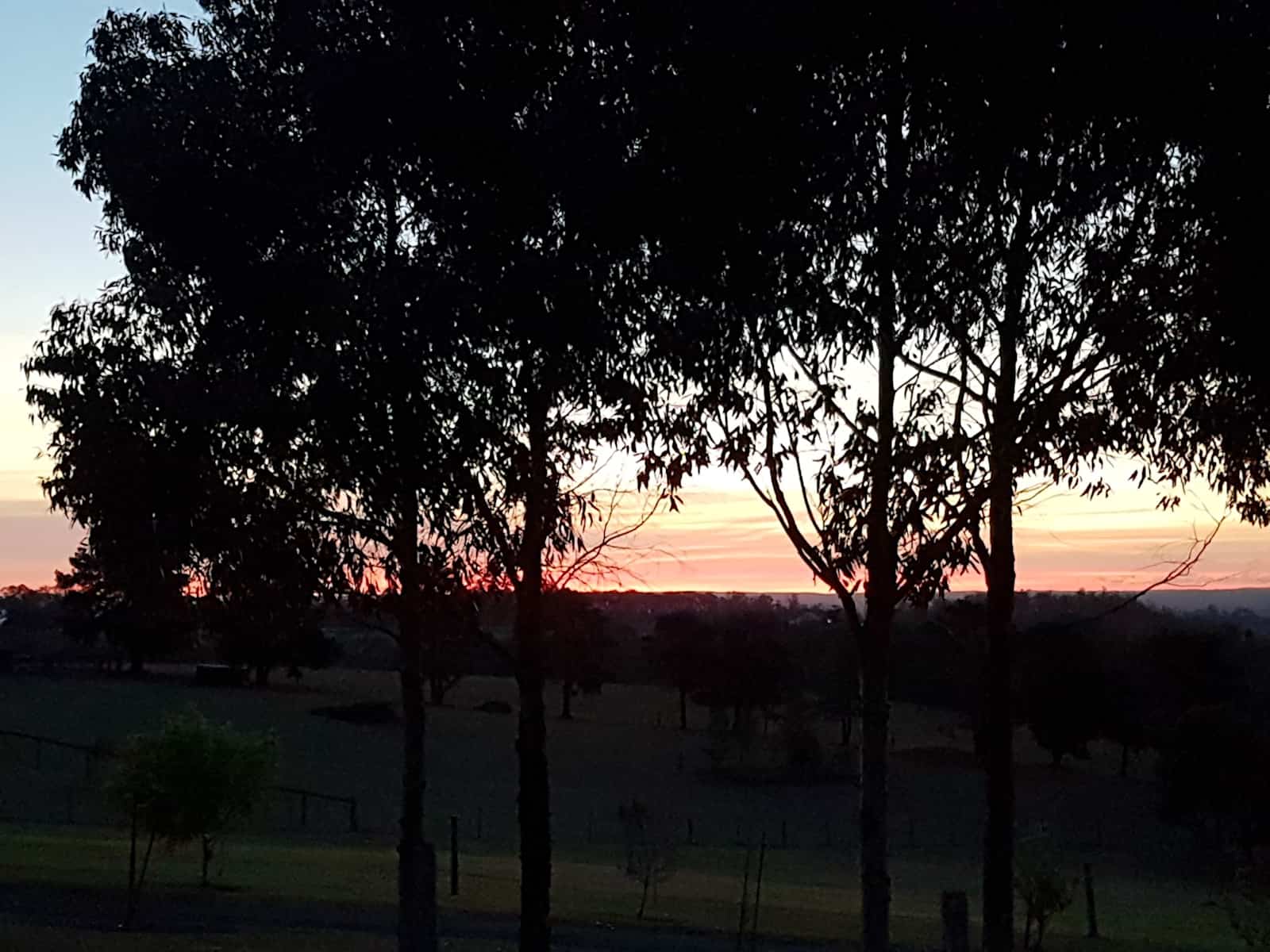 Housesitting assignment in Razorback, New South Wales, Australia