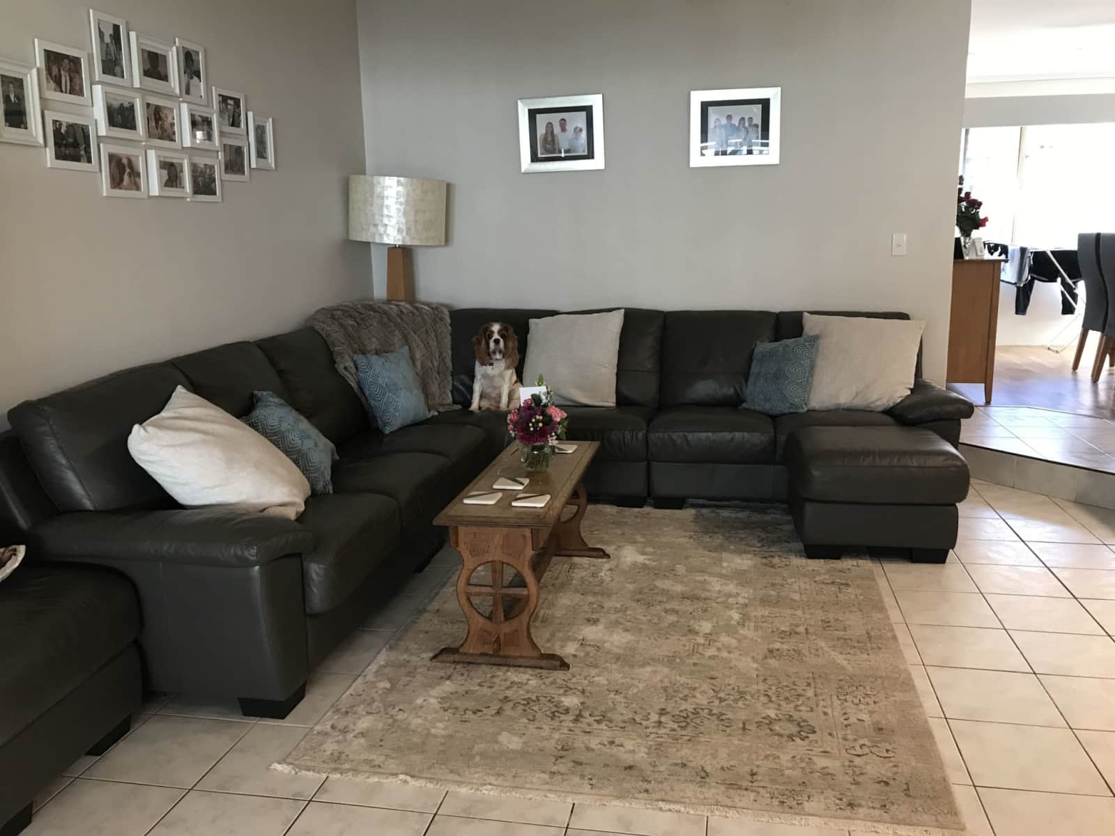 Housesitting assignment in Leeming, Western Australia, Australia