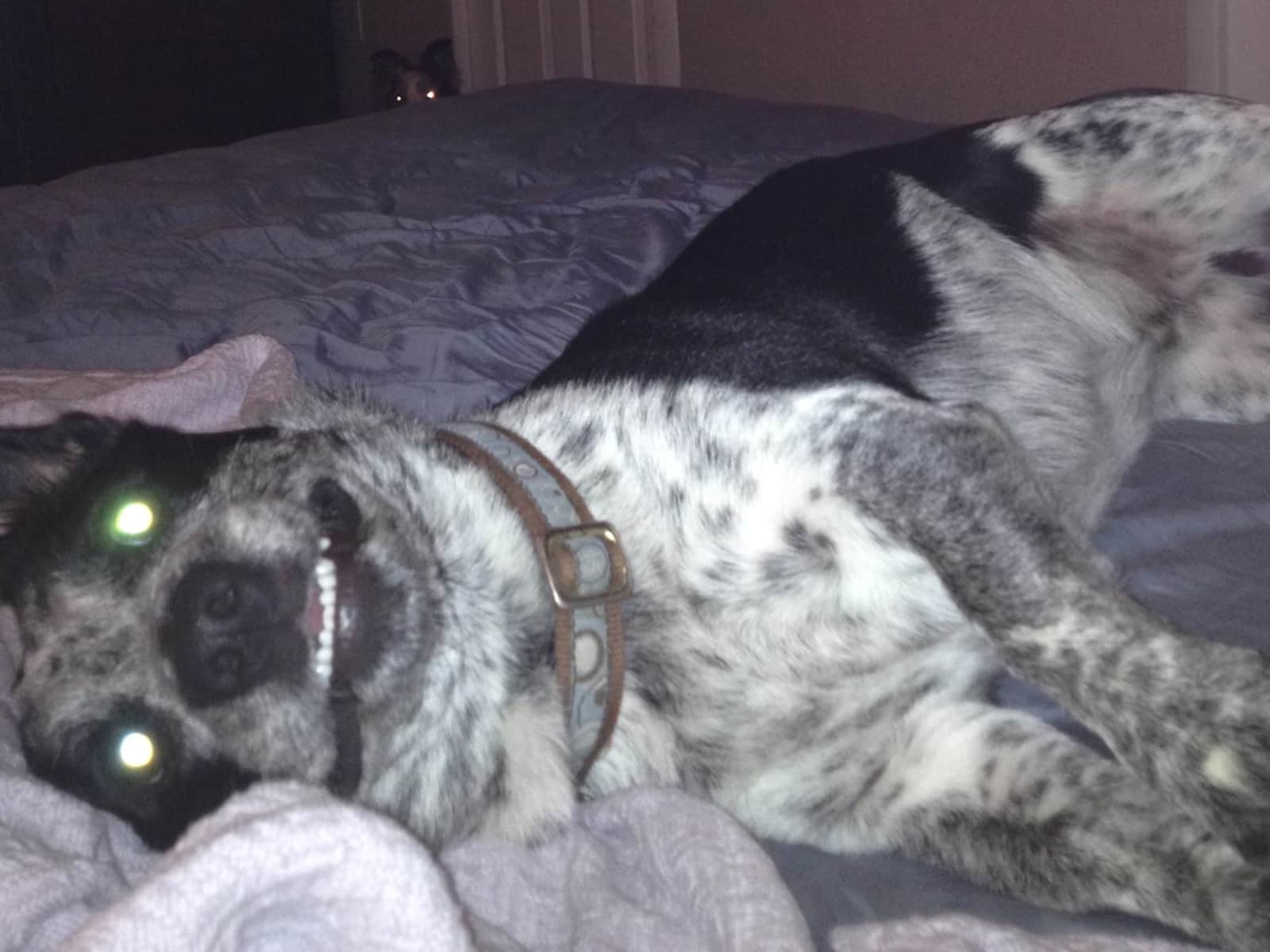 Sheryl & Rodney from Quincy, Illinois, United States