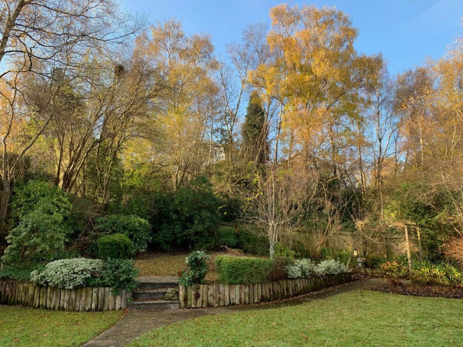 Housesitting assignment in Broadstone, United Kingdom