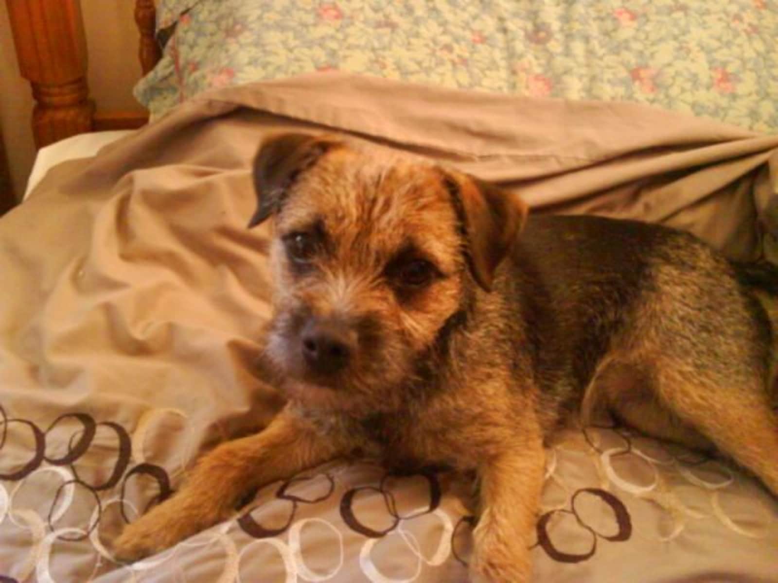 Moira from Oxford, United Kingdom