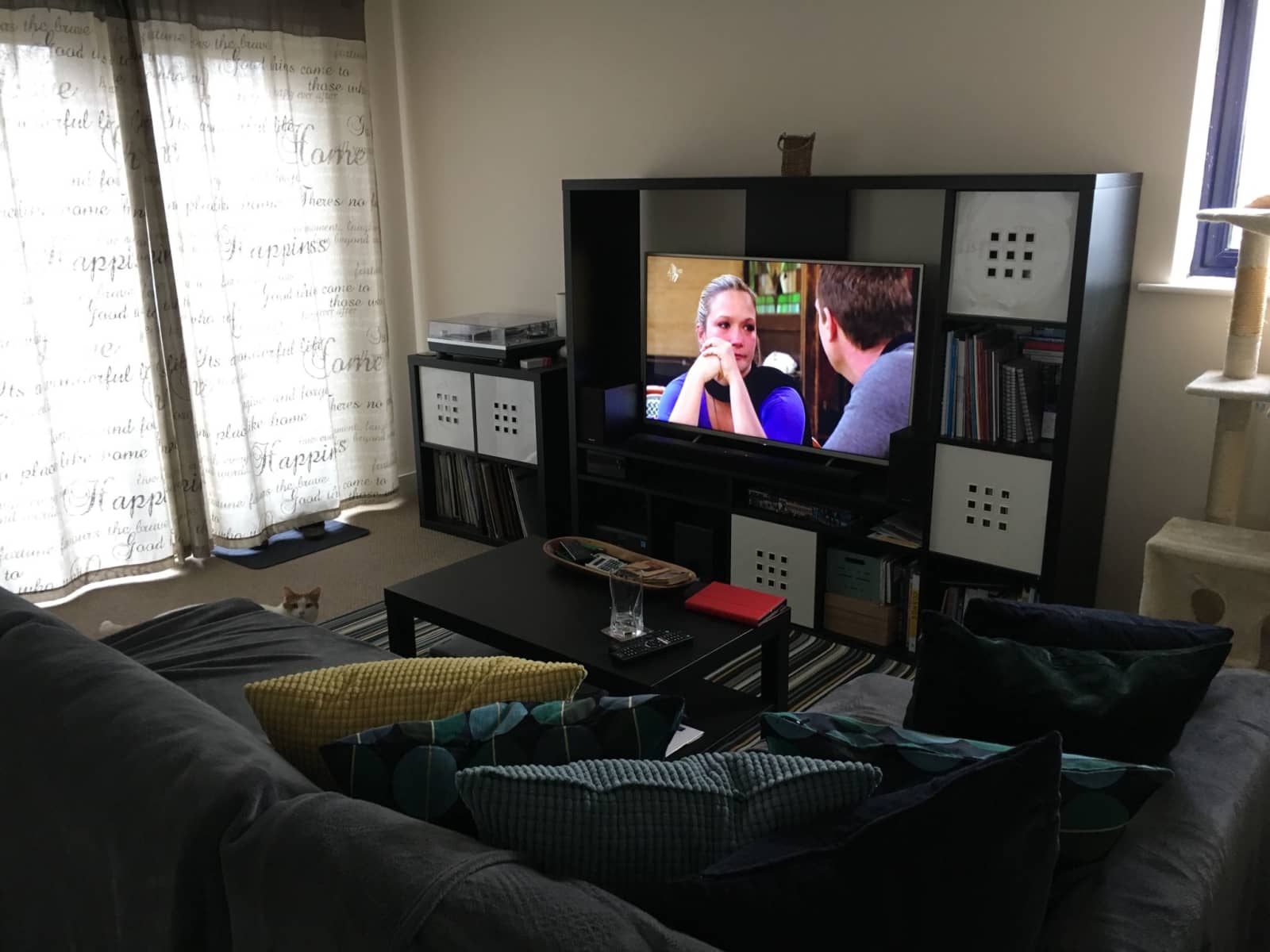Housesitting assignment in Manchester, United Kingdom