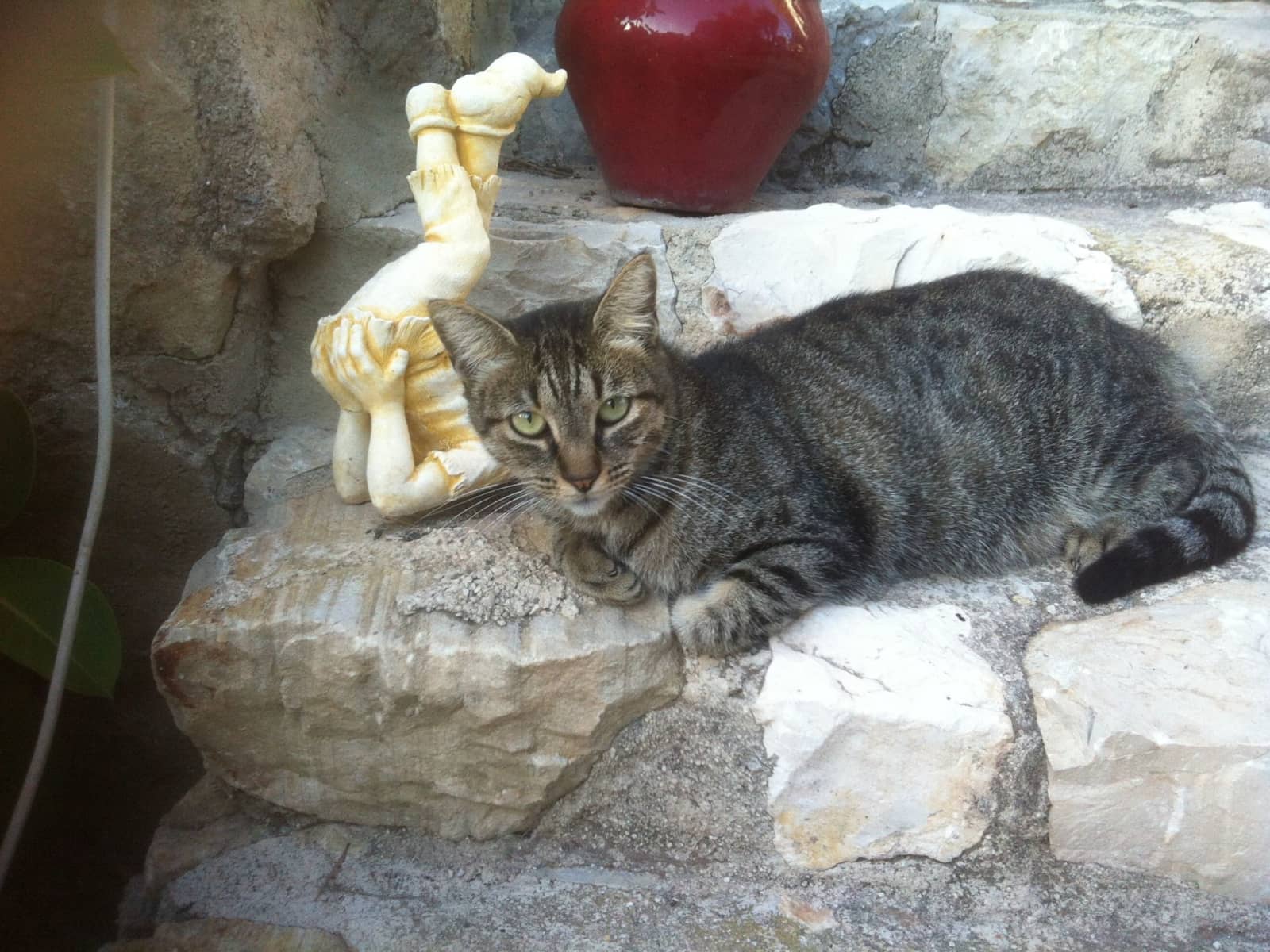 Housesitting assignment in Moraira, Spain