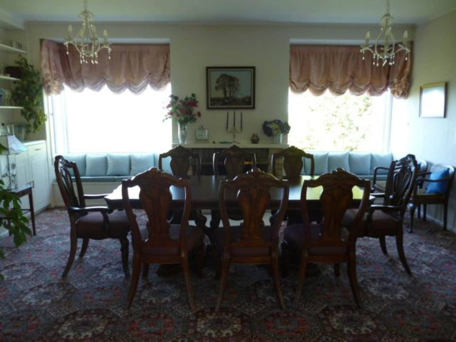 Housesitting assignment in Napier, New Zealand