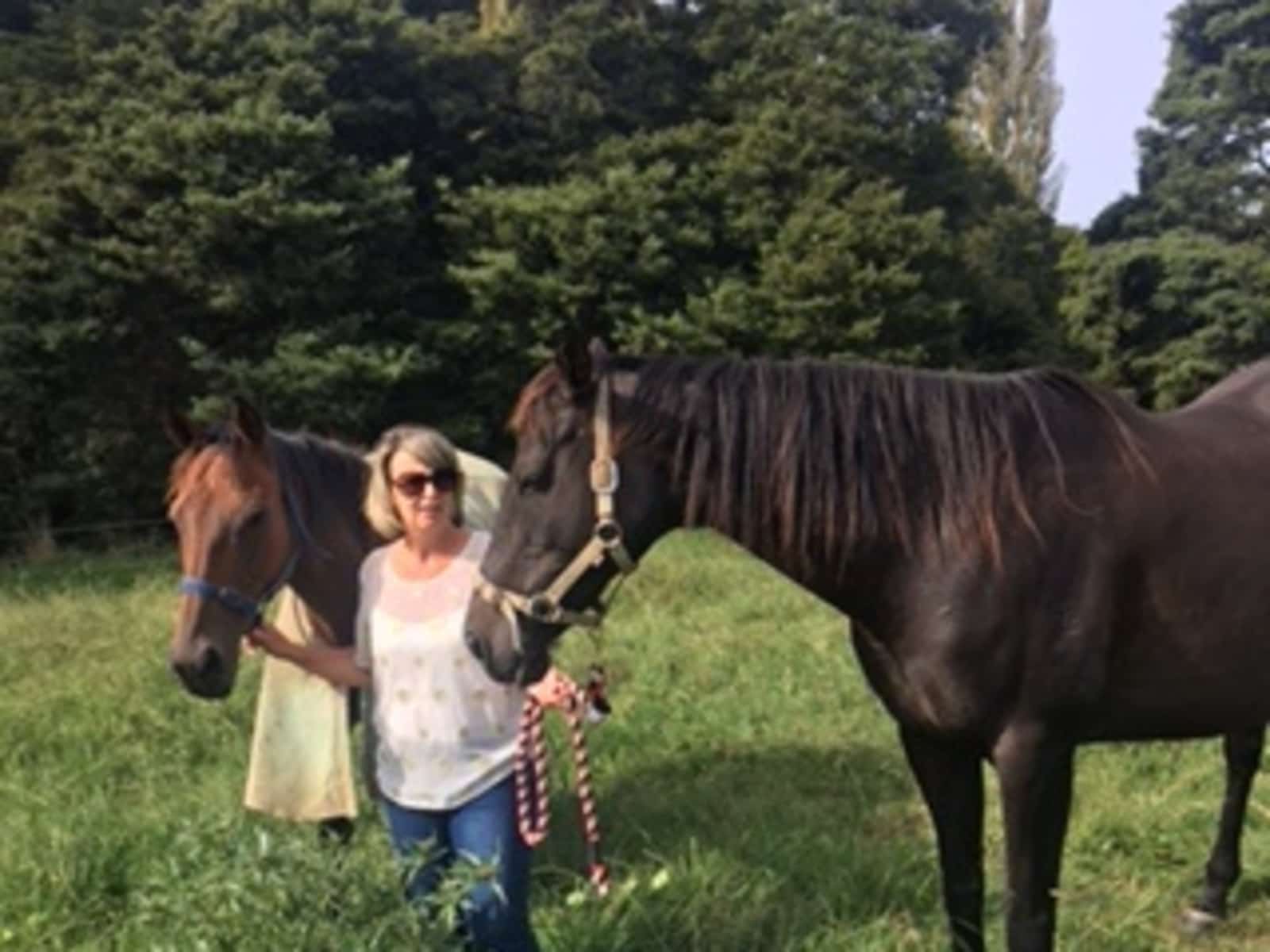 Shelley from Tauranga, New Zealand