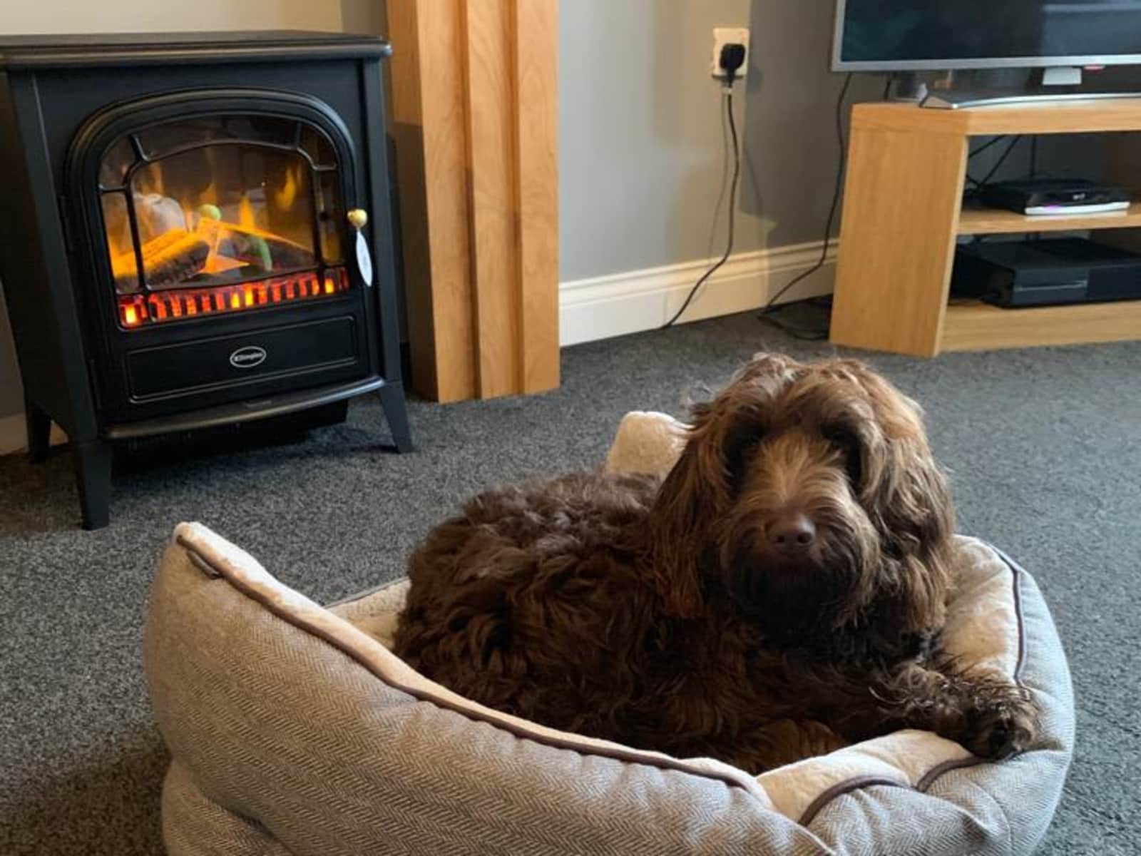 Housesitting assignment in Wakefield, United Kingdom