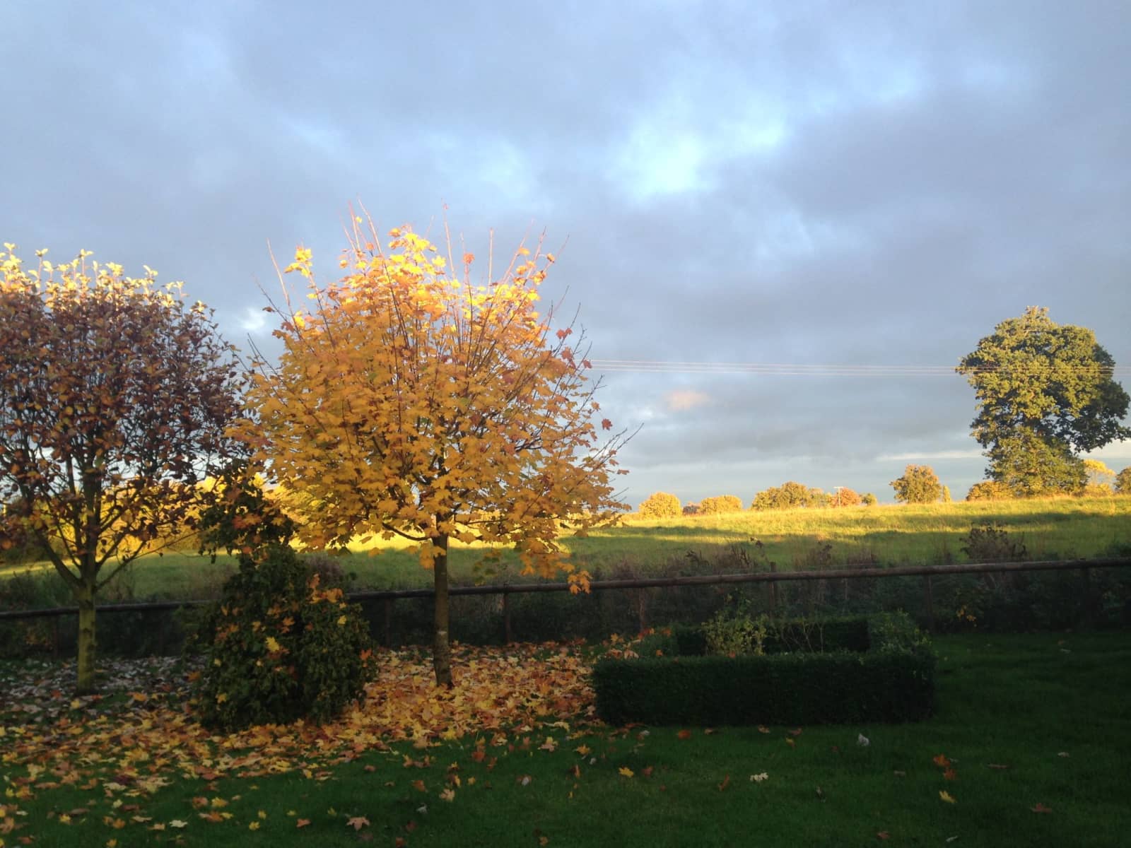 Housesitting assignment in Beccles, United Kingdom