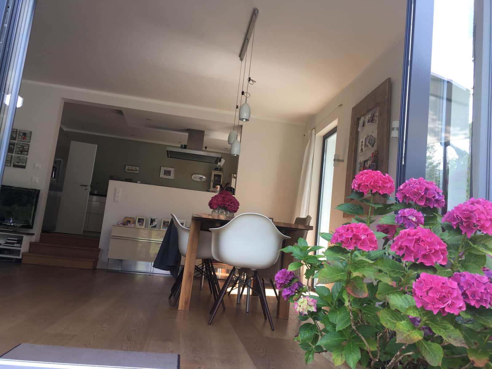 Housesitting assignment in Hamburg, Germany