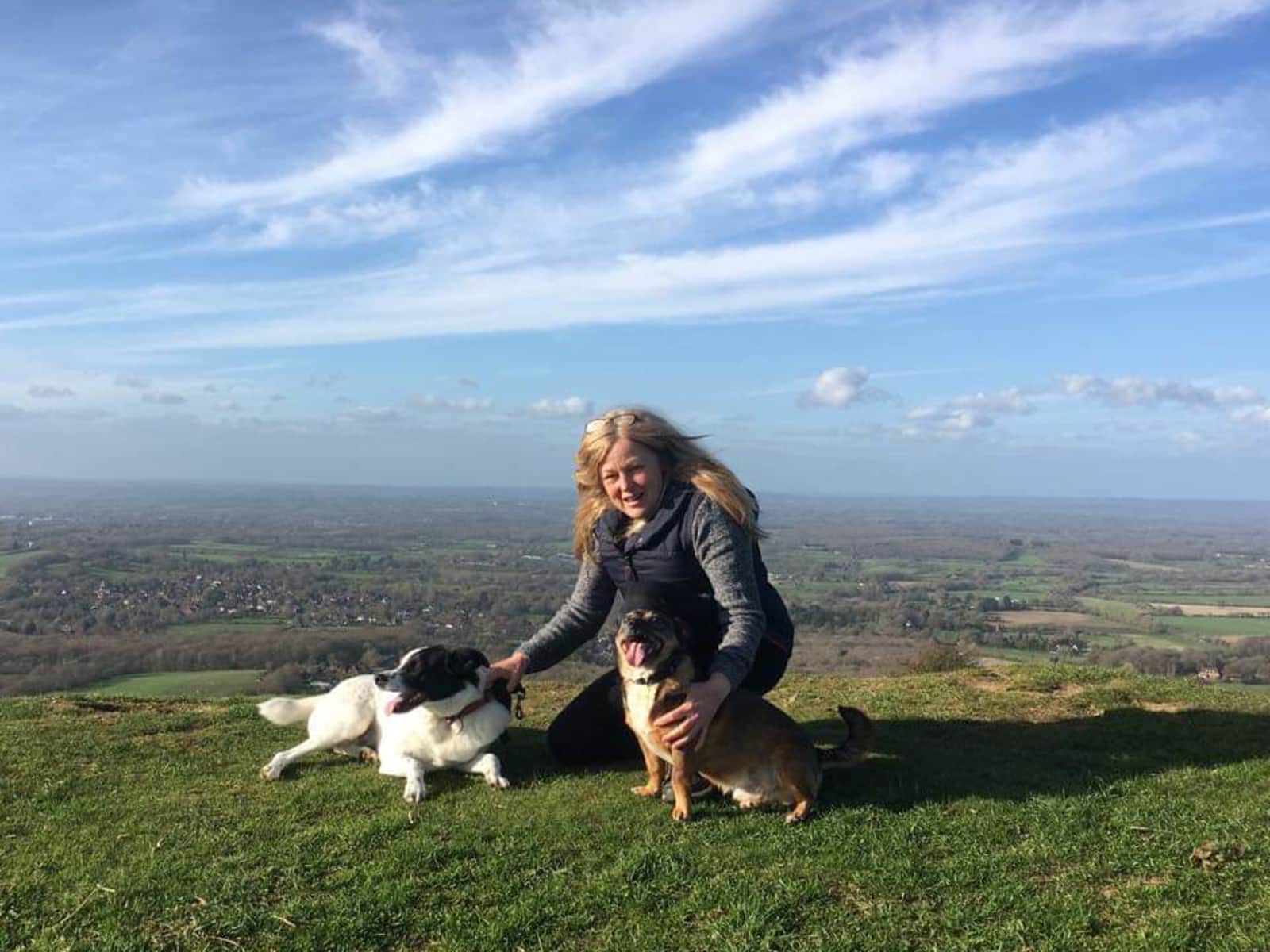 Housesitting assignment in Brighton, United Kingdom