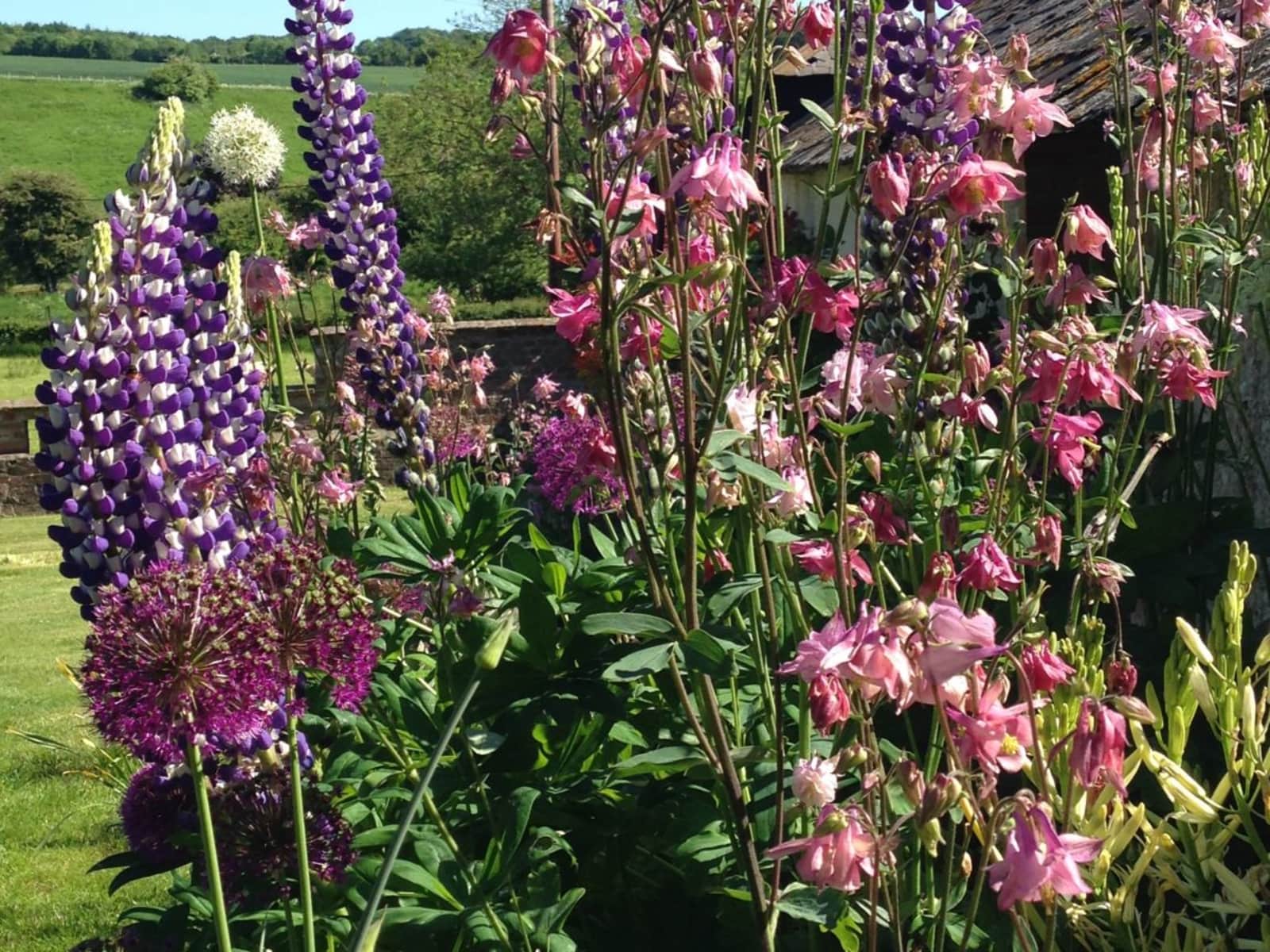 Housesitting assignment in Warminster, United Kingdom