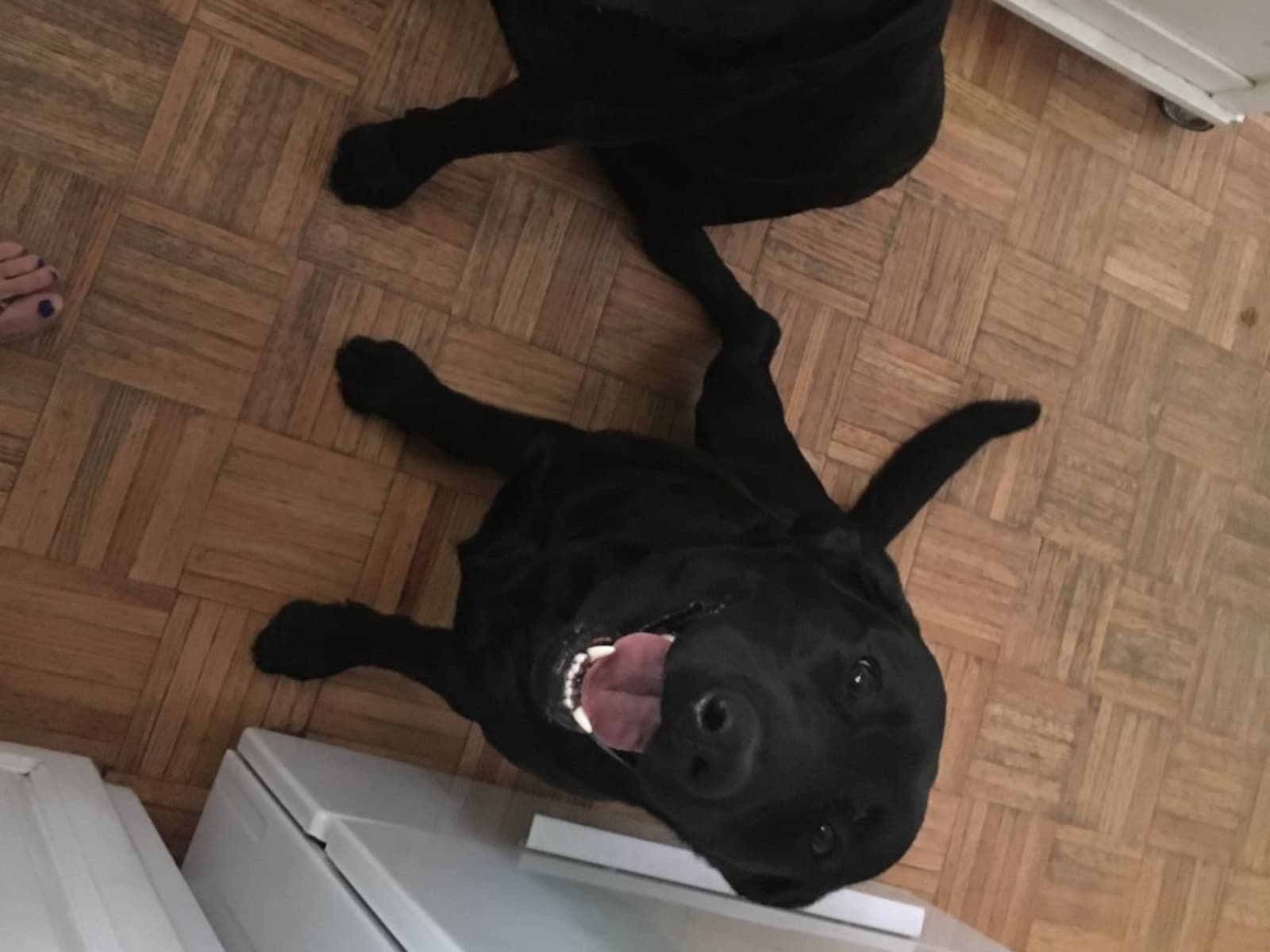 Mamie from Boonton, New Jersey, United States