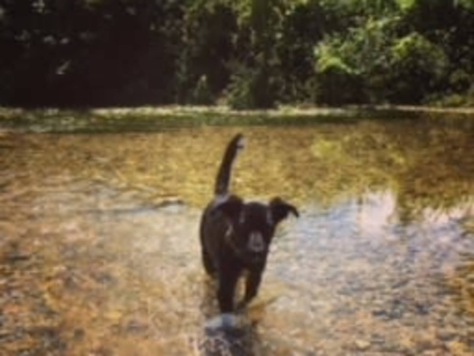 Alice from Puddletown, United Kingdom