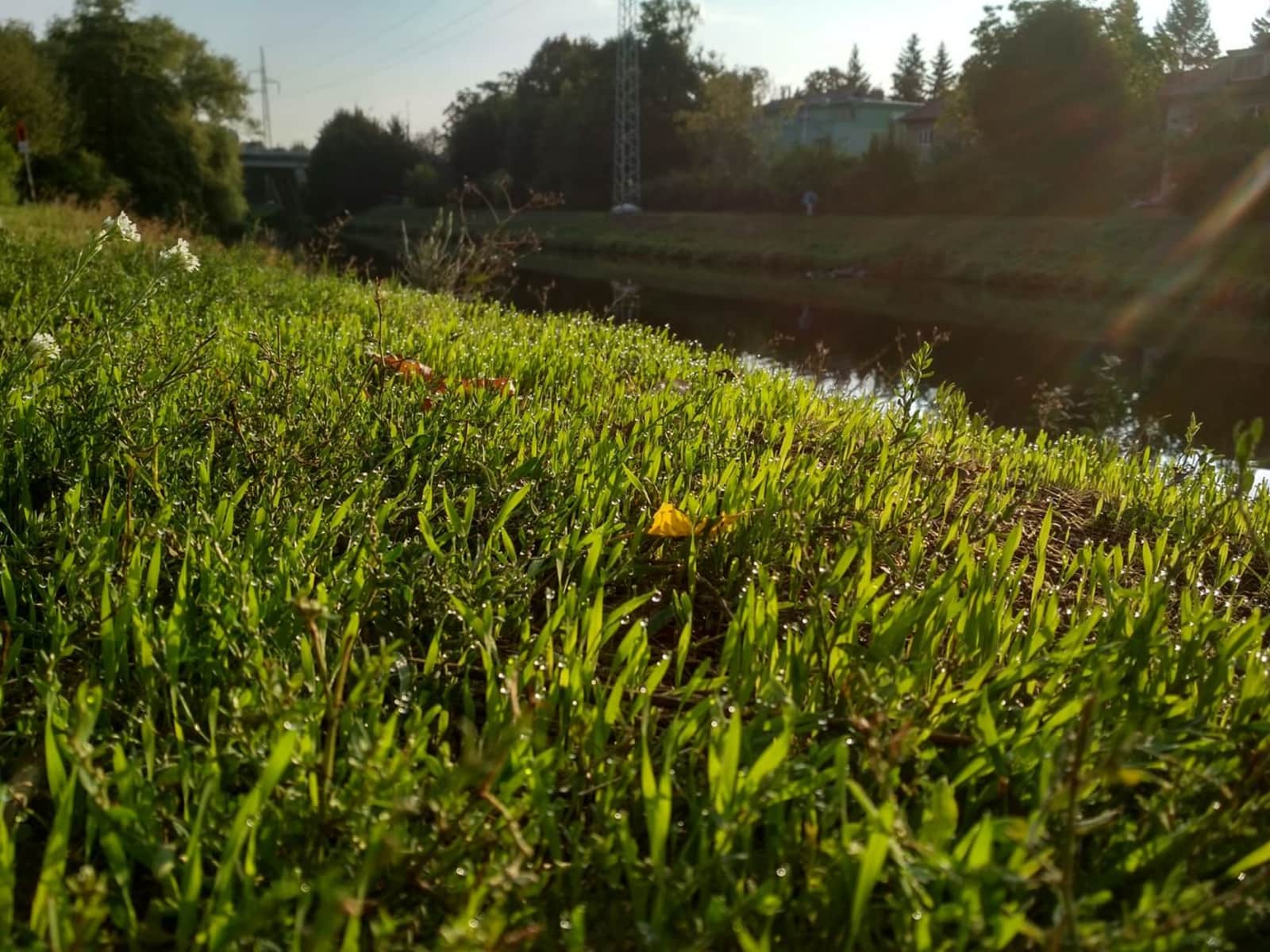 Housesitting assignment in Brno, Czech Republic