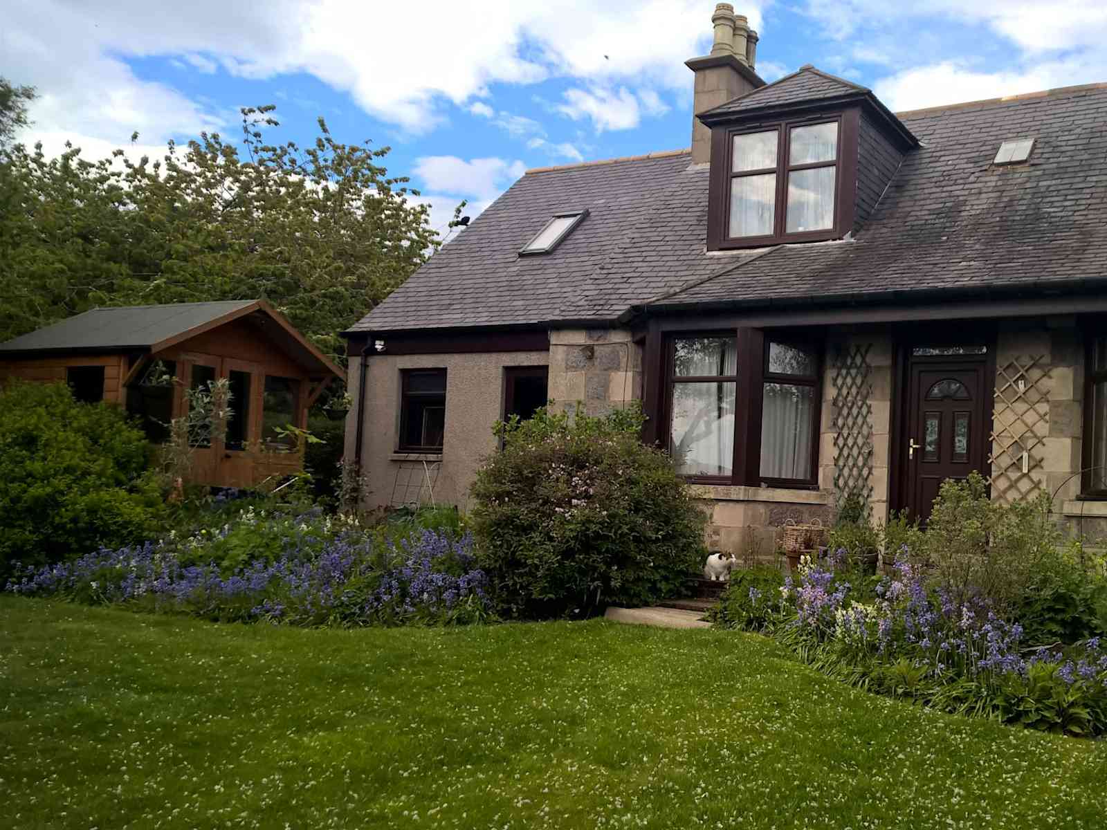 Housesitting assignment in Aberdeen, United Kingdom