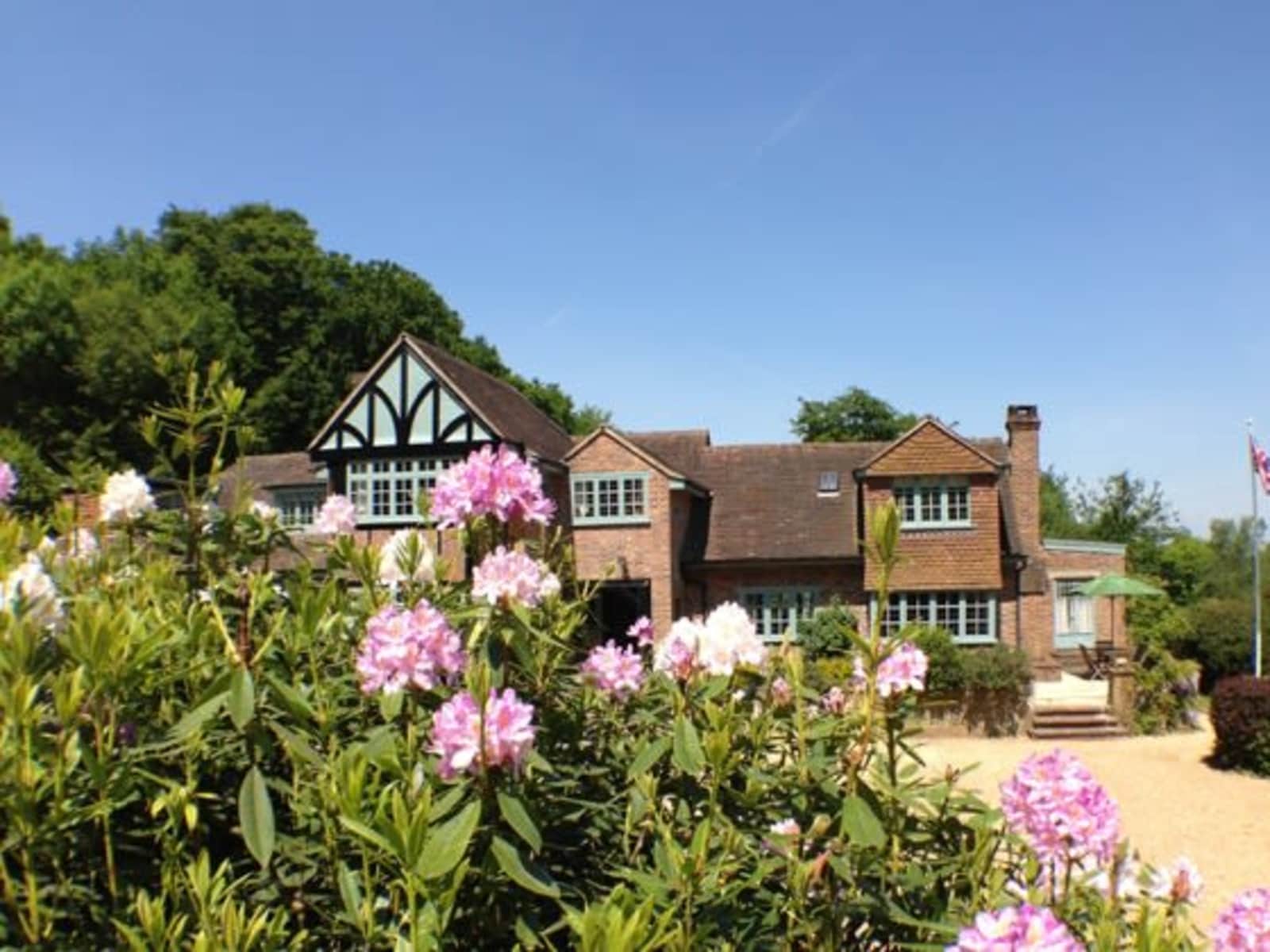 Housesitting assignment in Petworth, United Kingdom