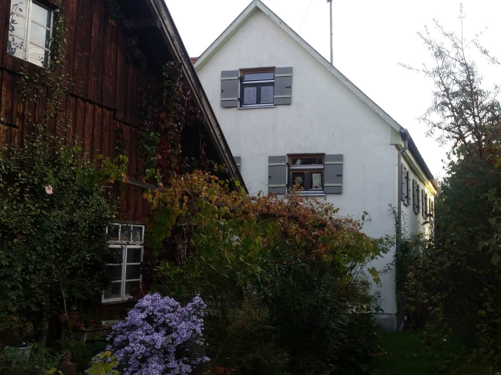 Housesitting assignment in Sontheim, Germany