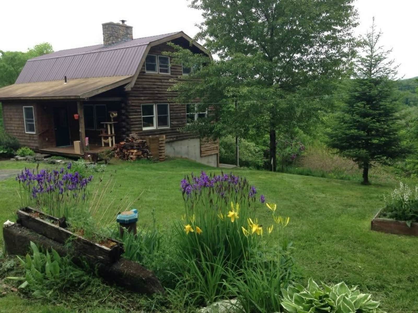 Housesitting assignment in East Calais, Vermont, United States