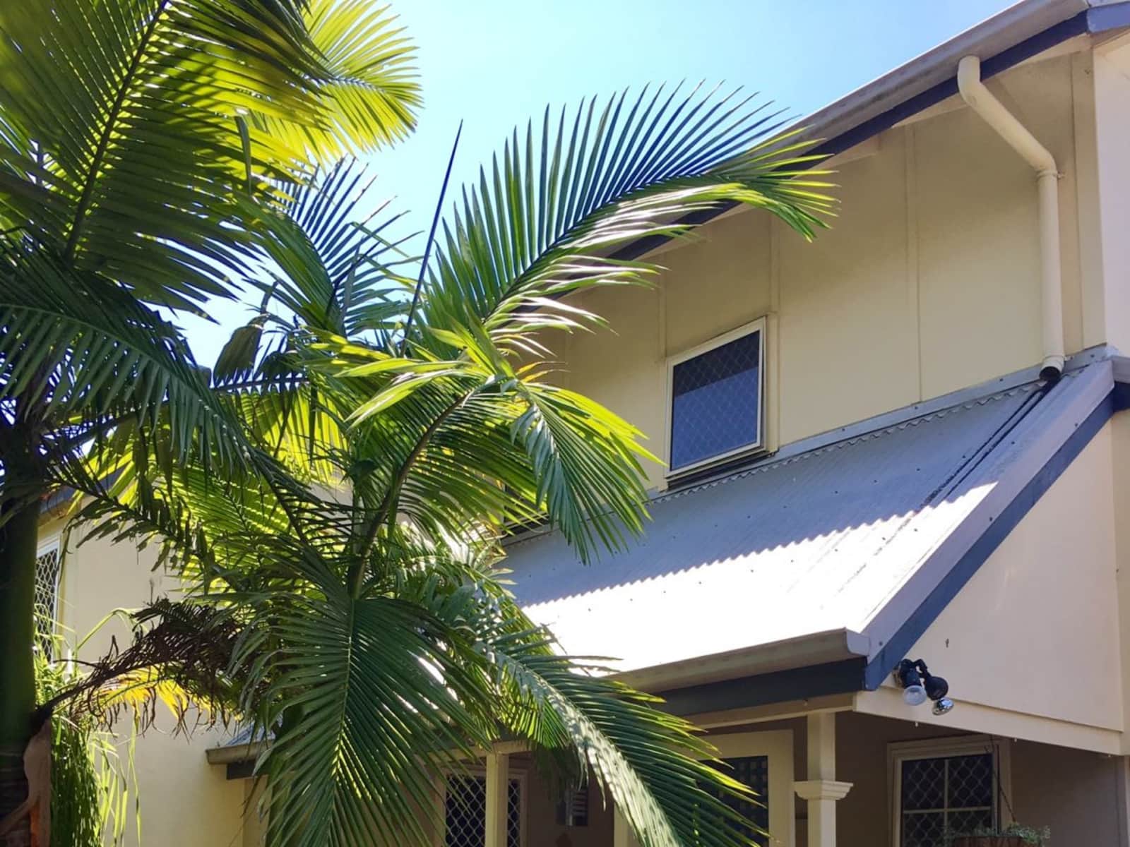 Housesitting assignment in Brisbane, Queensland, Australia