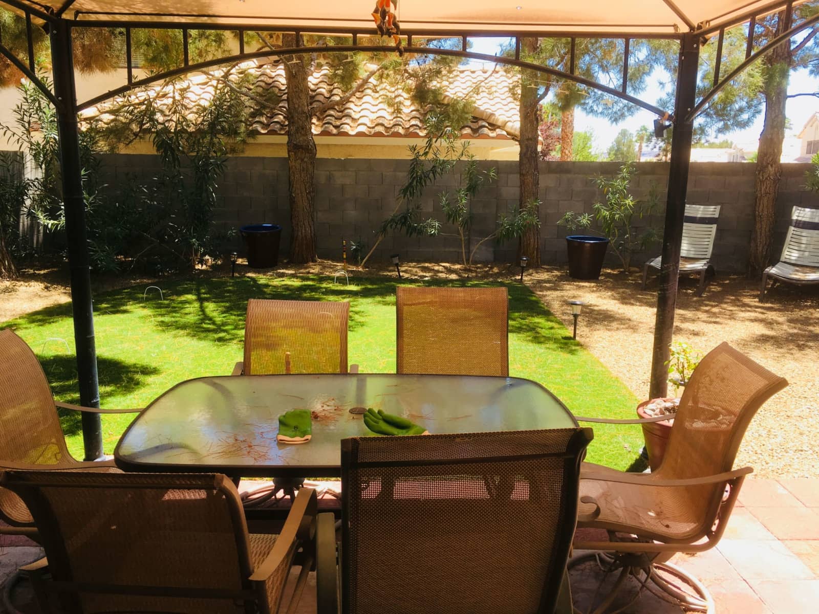Housesitting assignment in Las Vegas, Nevada, United States
