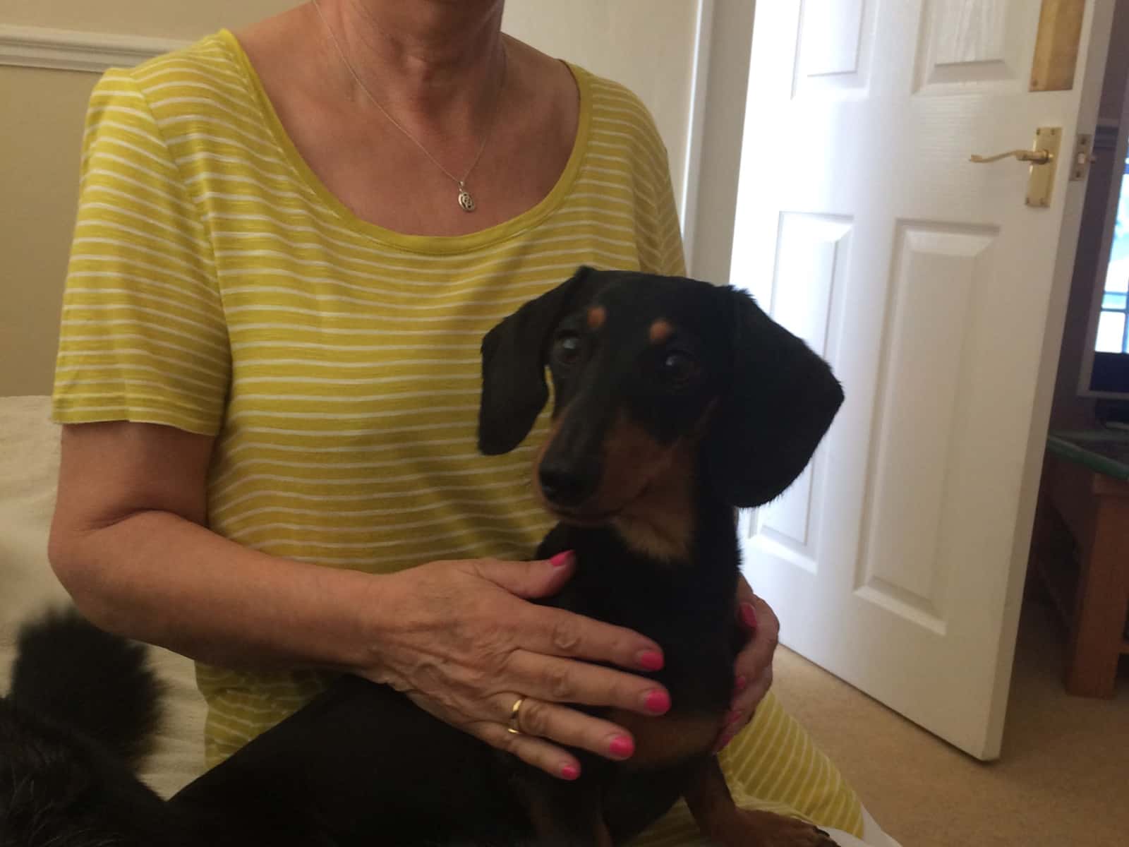 Housesitting assignment in Peasedown Saint John, United Kingdom