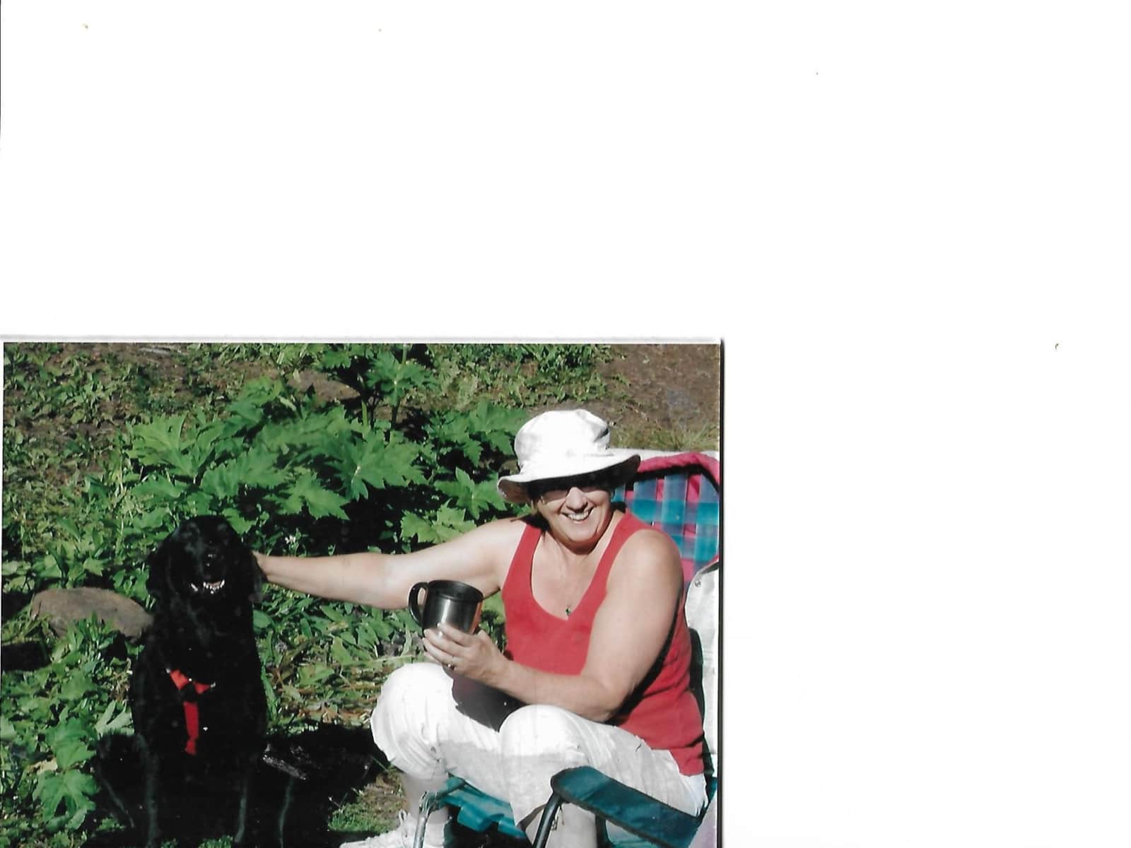 Carolyn from Denver, Colorado, United States