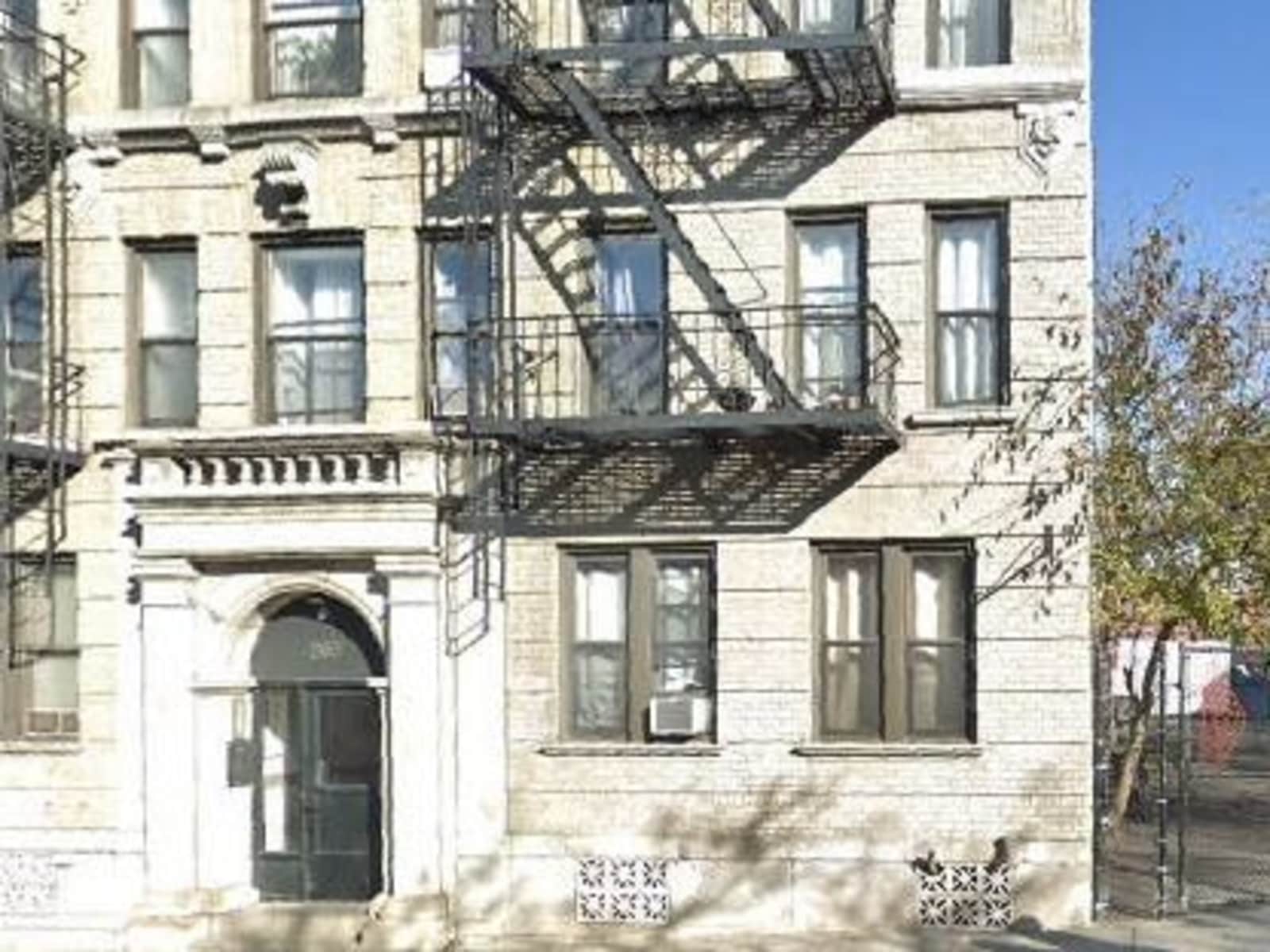 Housesitting assignment in New York City, New York, United States