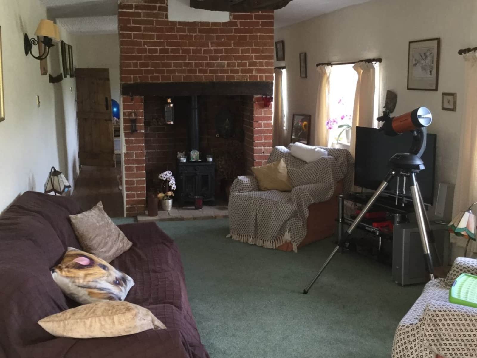 Housesitting assignment in Bury St Edmunds, United Kingdom