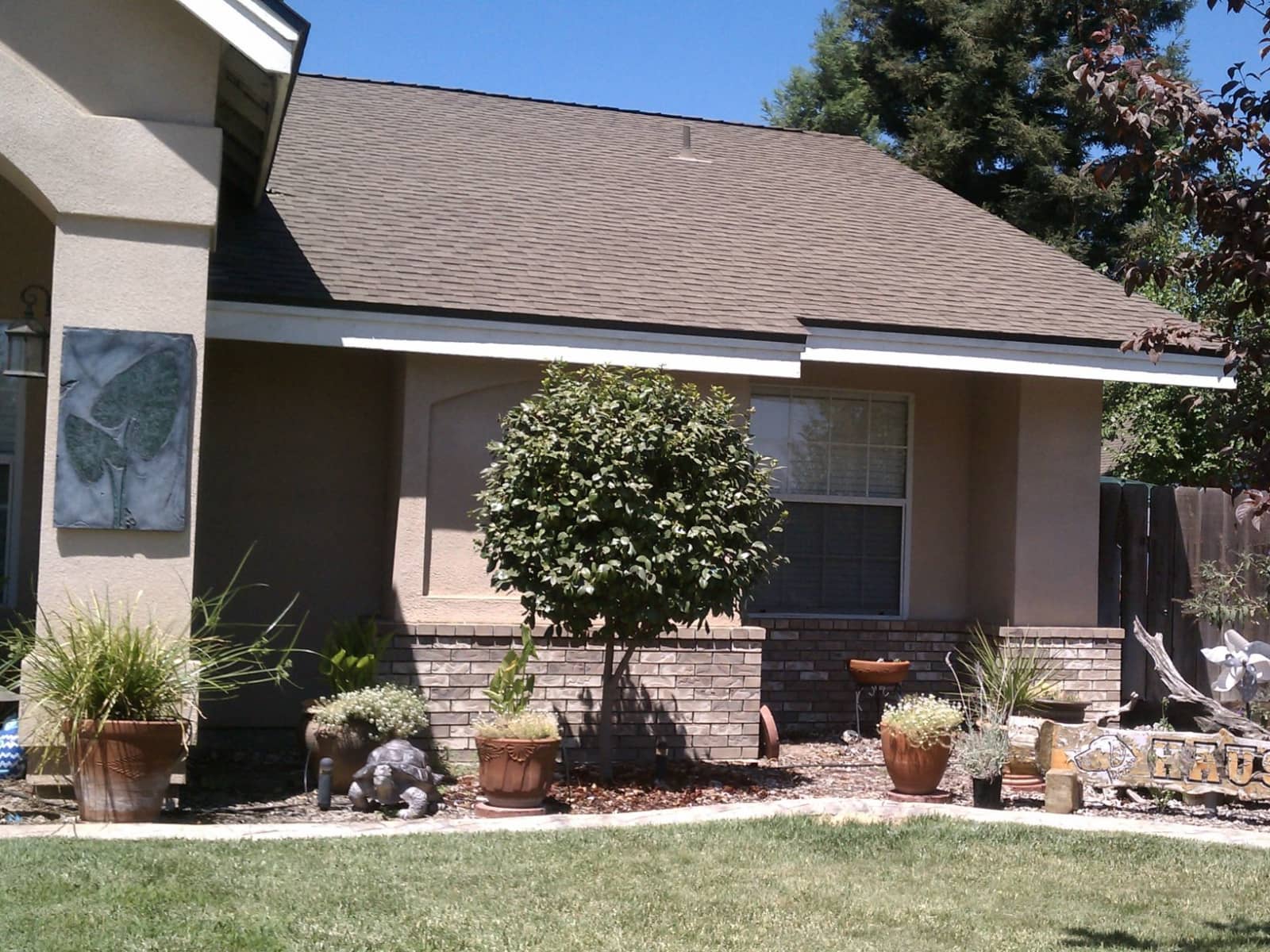 Housesitting assignment in Visalia, California, United States