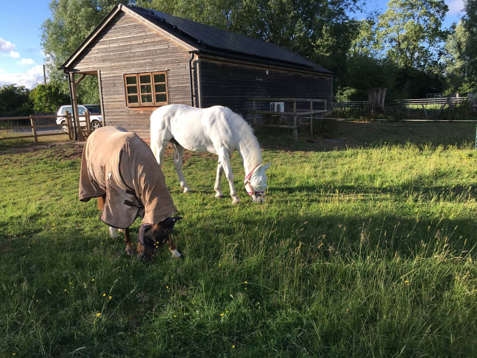 Housesitting assignment in Hereford, United Kingdom